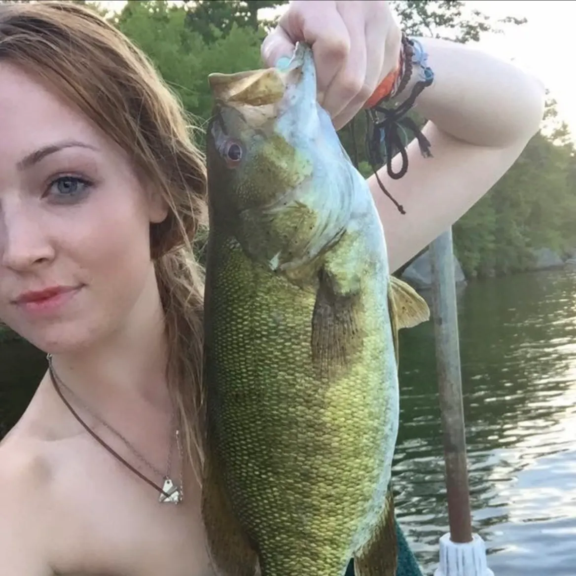 Smallmouth bass caught on Fishbrain