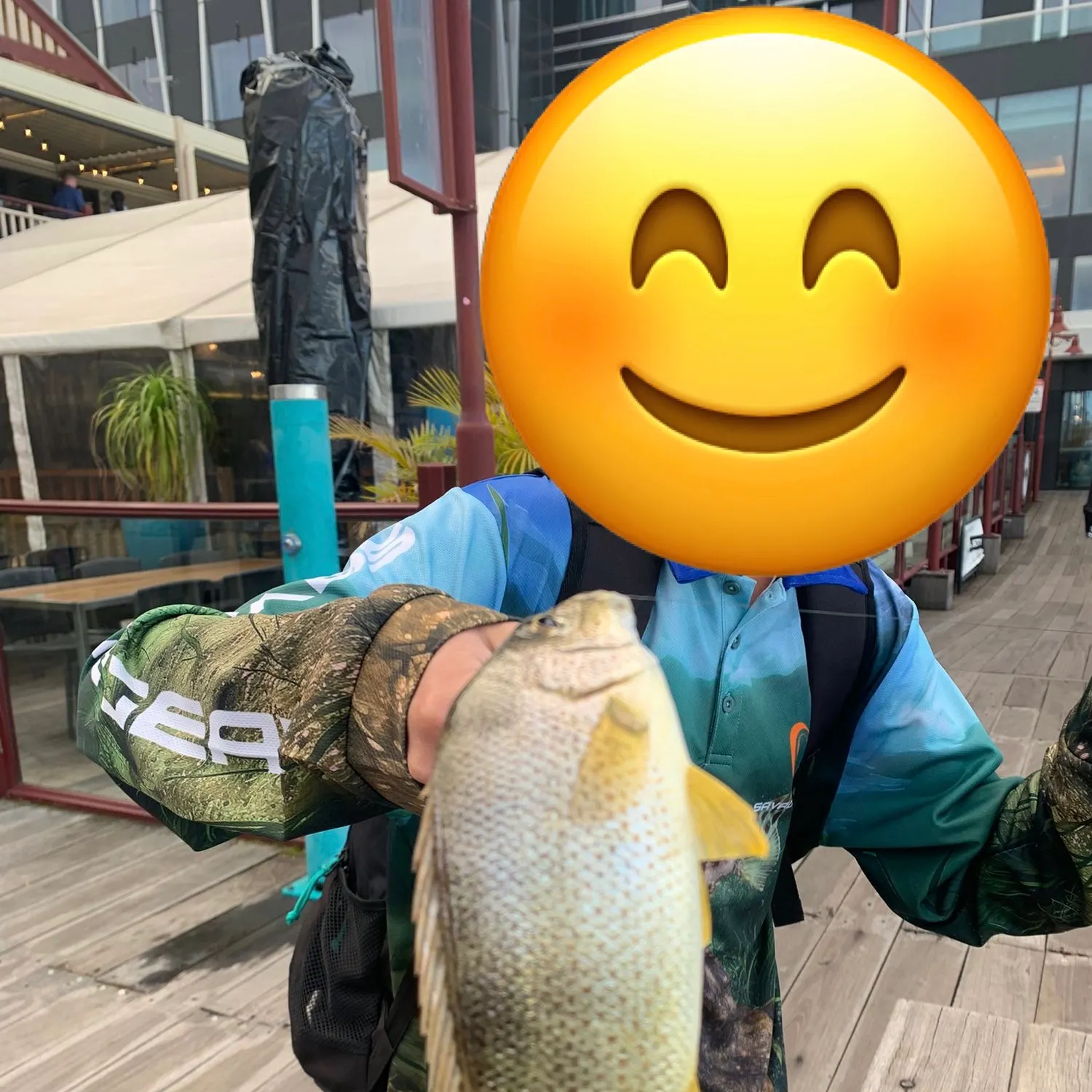 The most recent Blue moki catches on Fishbrain