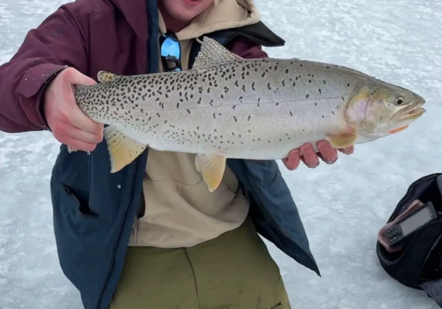 Bear lake cutthroat trout