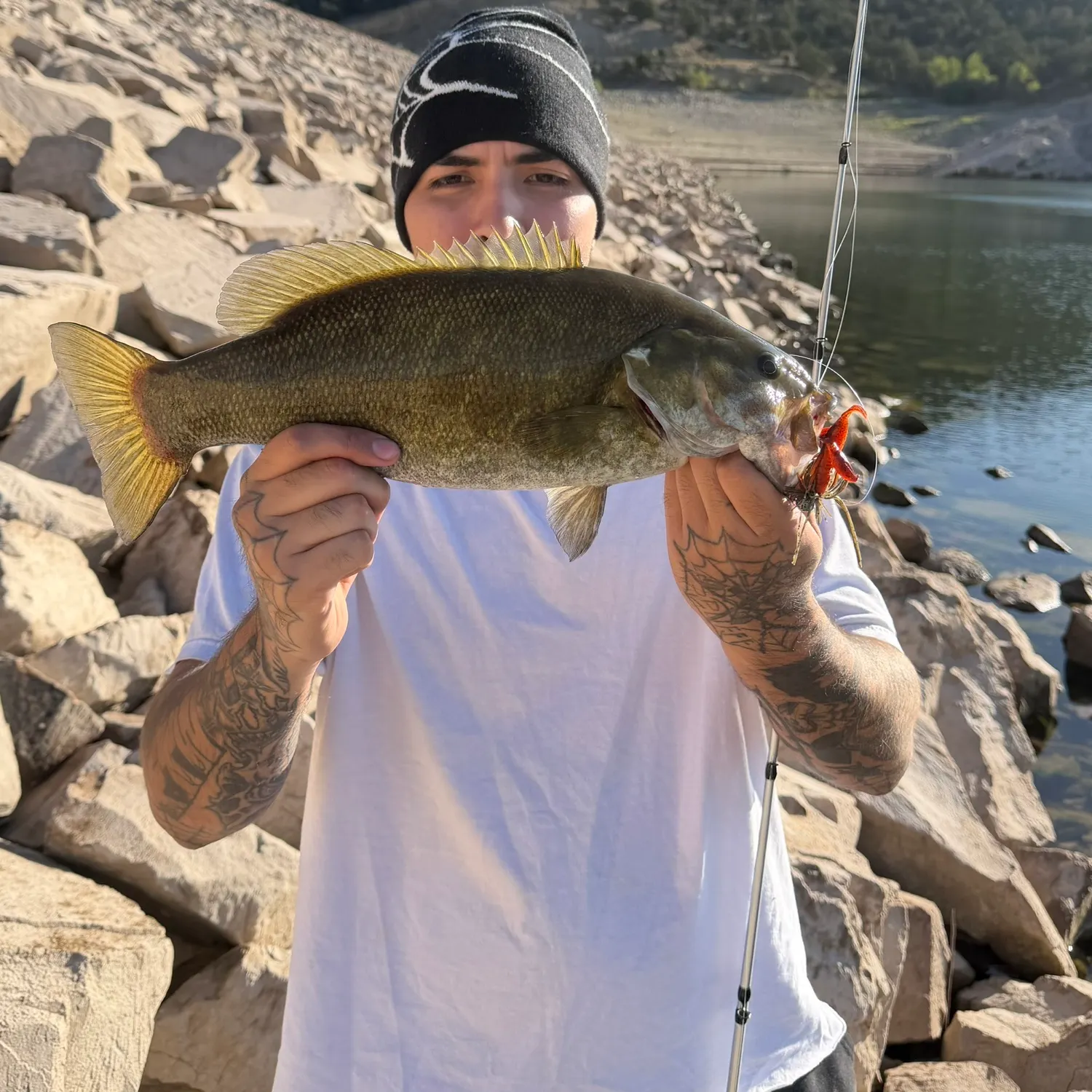 Smallmouth bass caught on Fishbrain