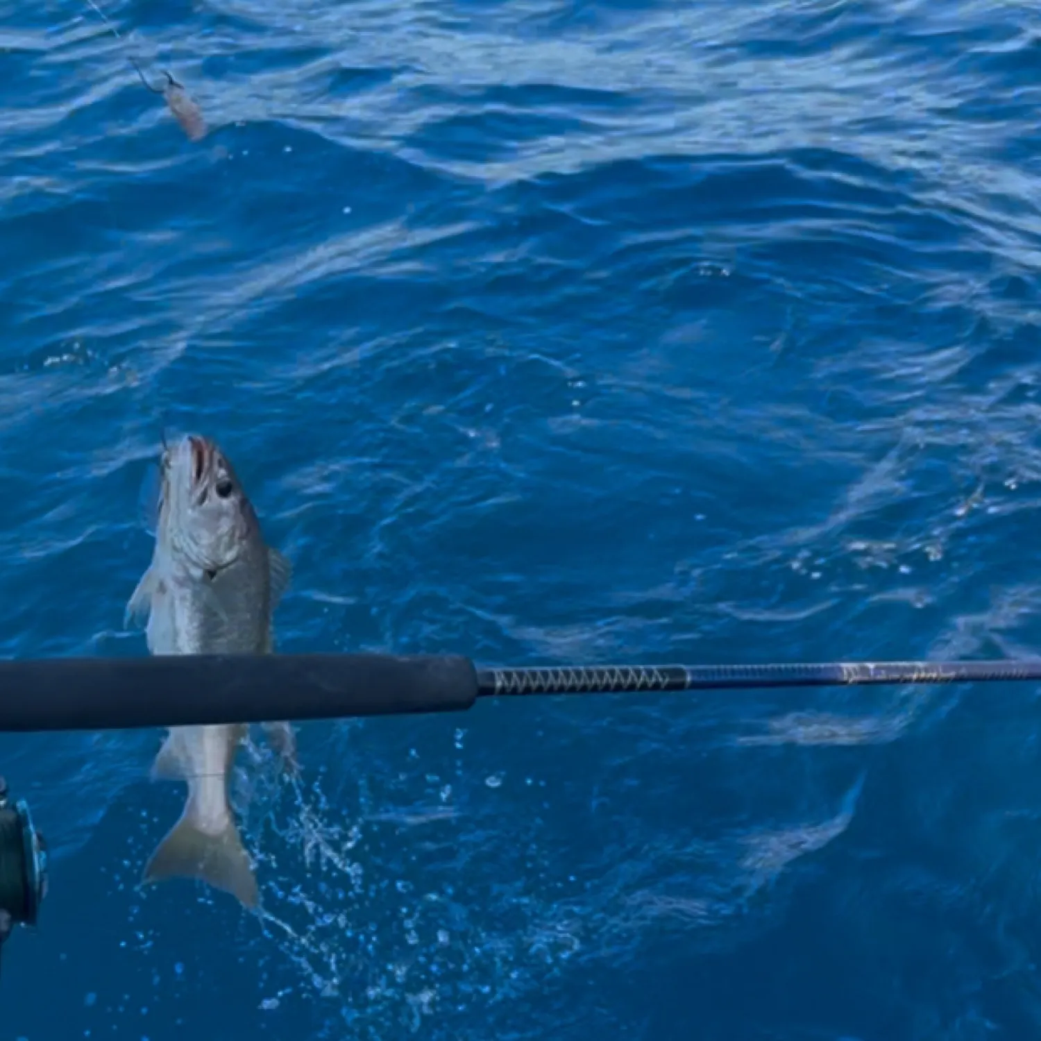 most liked catch image