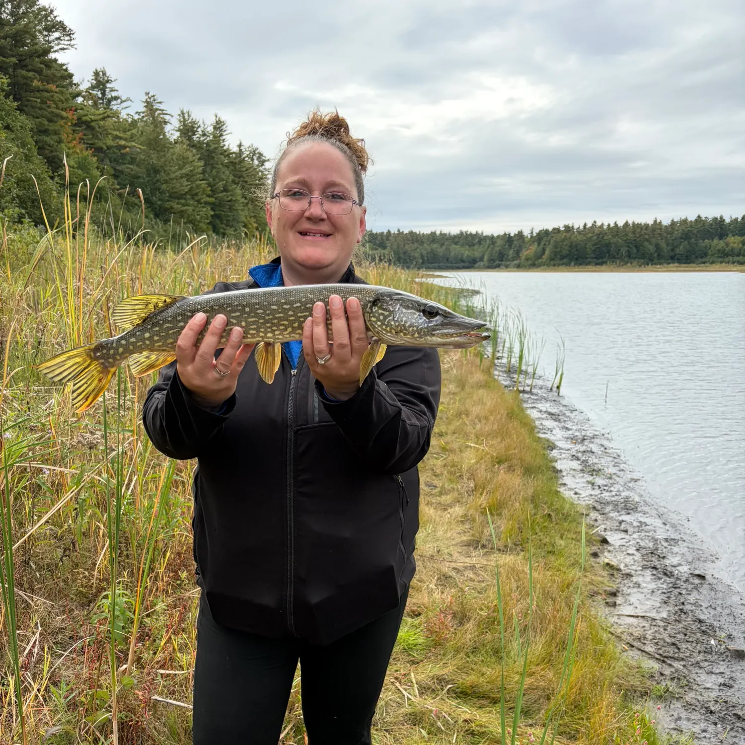 Northern pike caught on Fishbrain