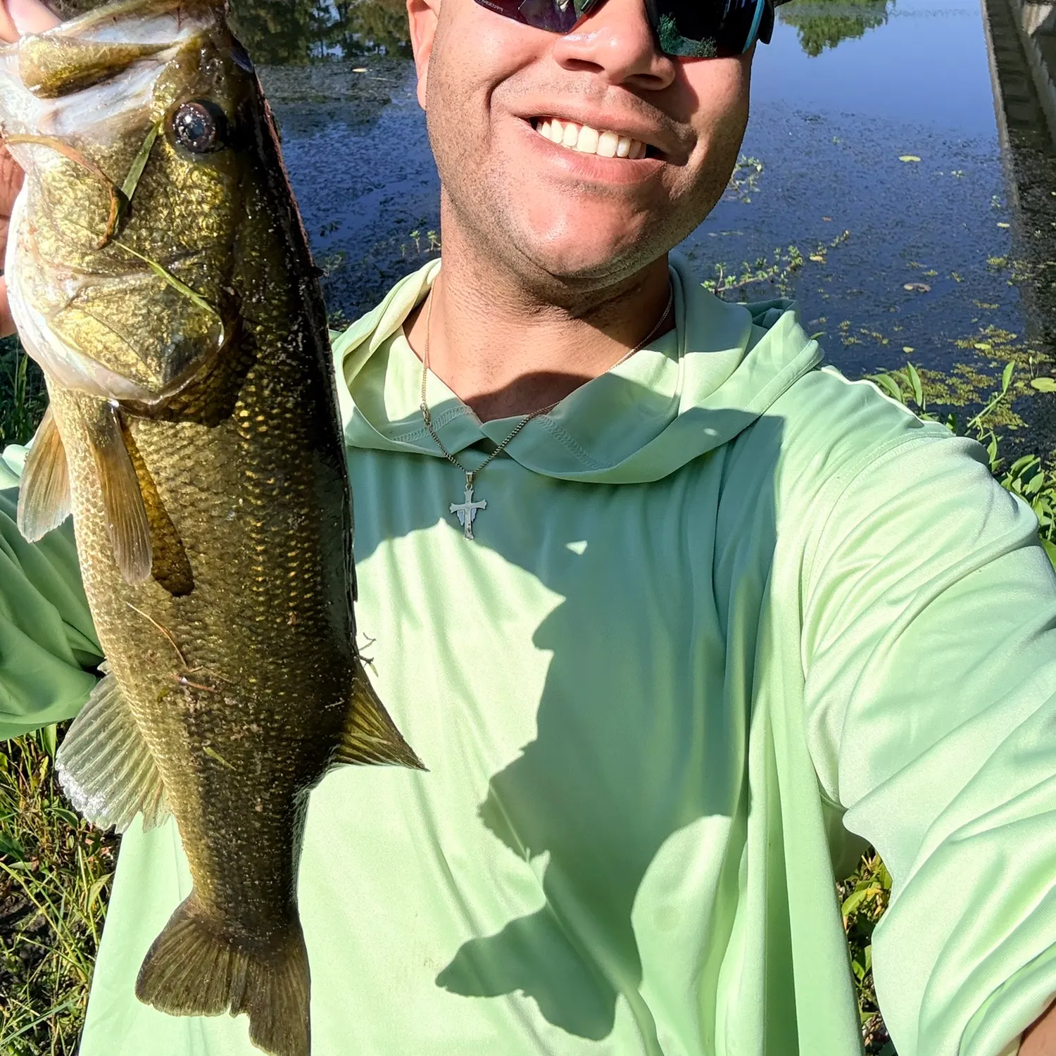 Largemouth bass caught on Fishbrain
