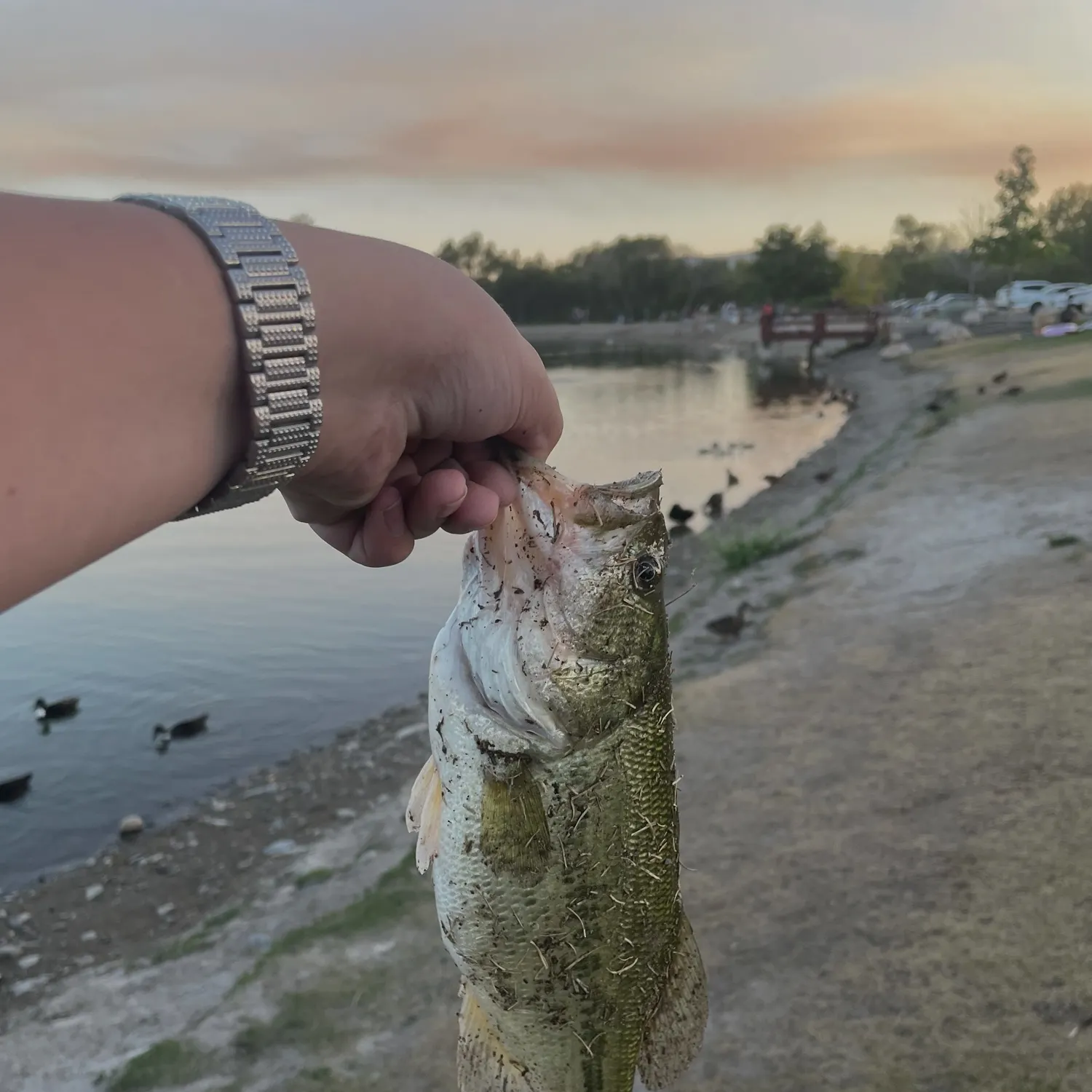 catch