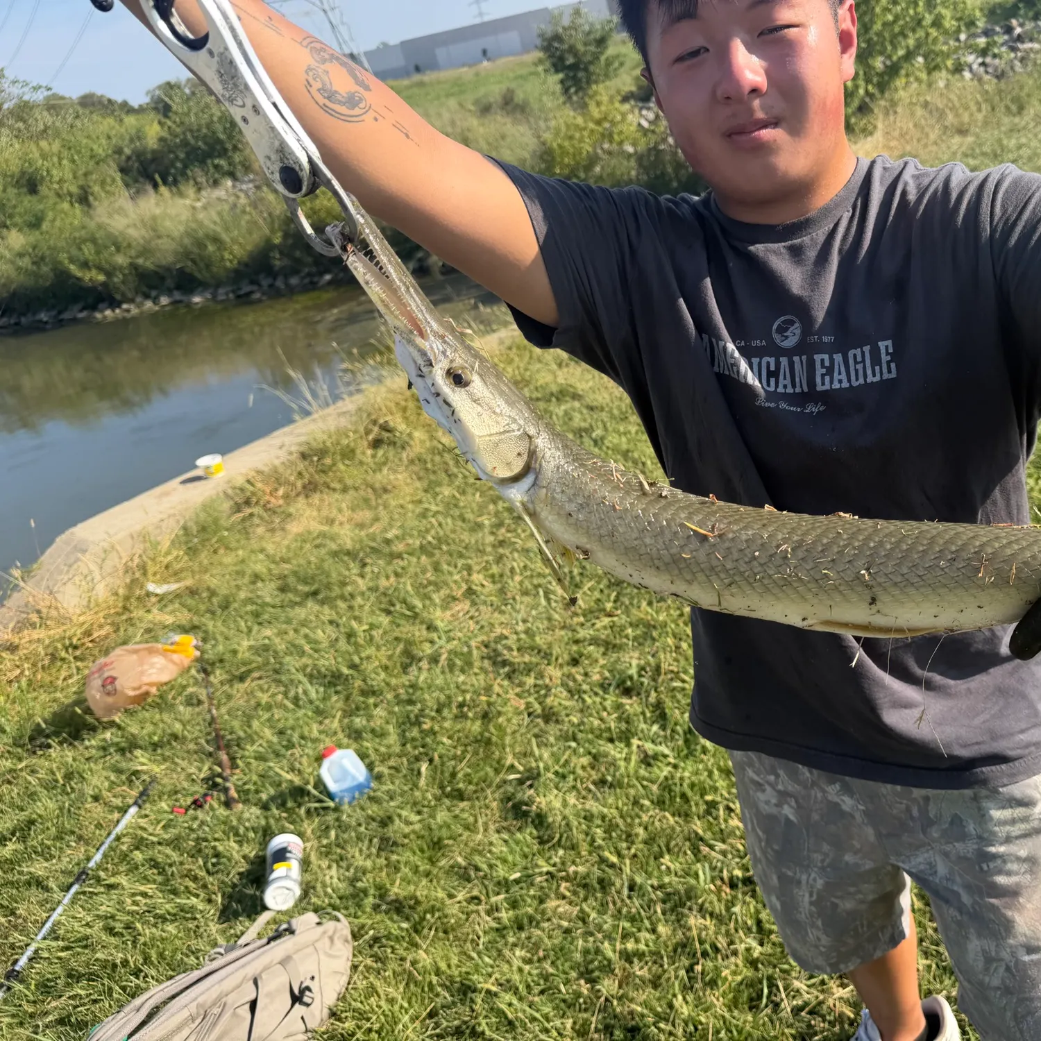 Shortnose gar caught on Fishbrain