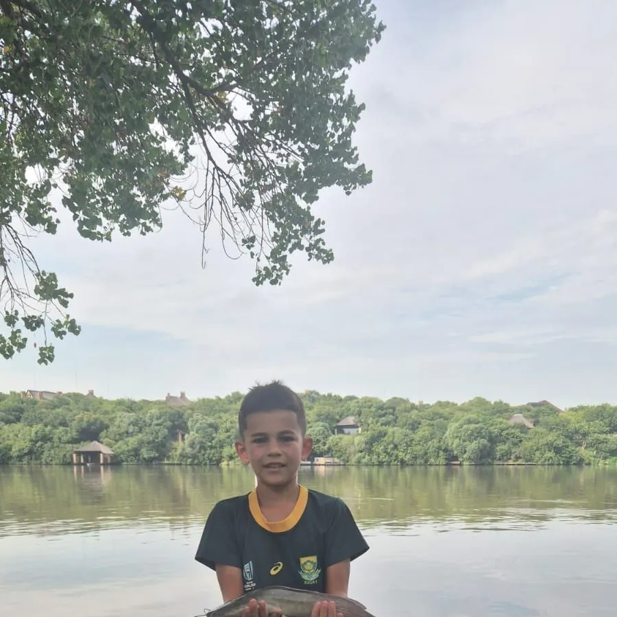 The most recent North African catfish catches on Fishbrain