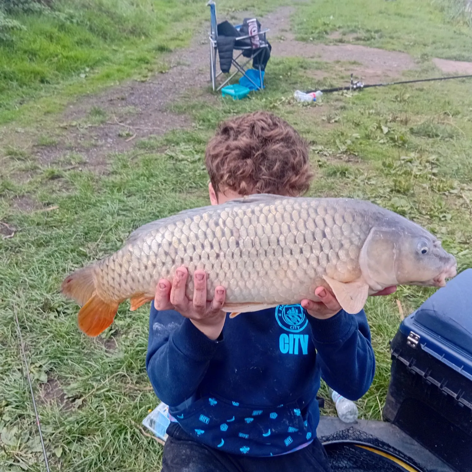 Common carp caught on Fishbrain