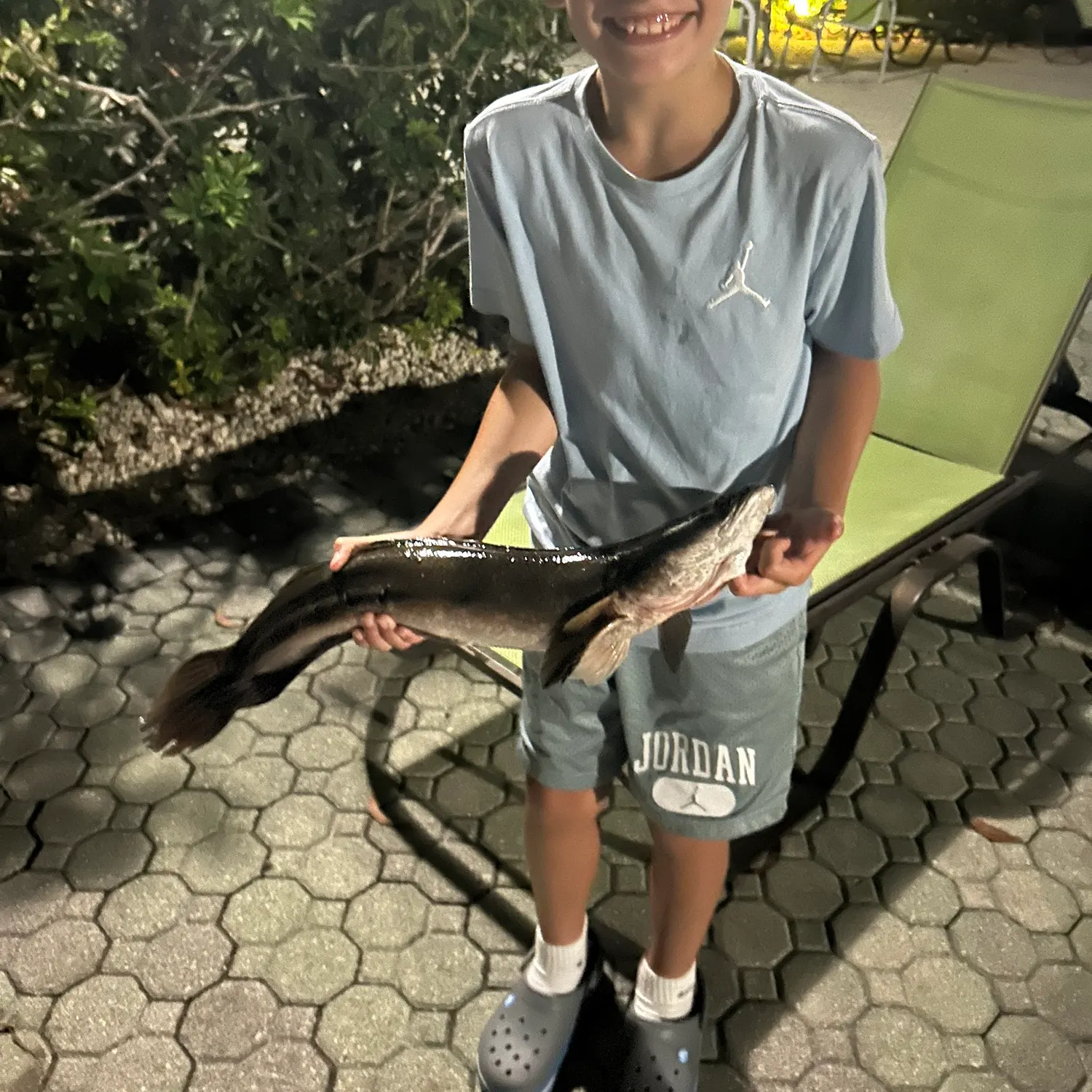 The most recent Forest snakehead catches on Fishbrain