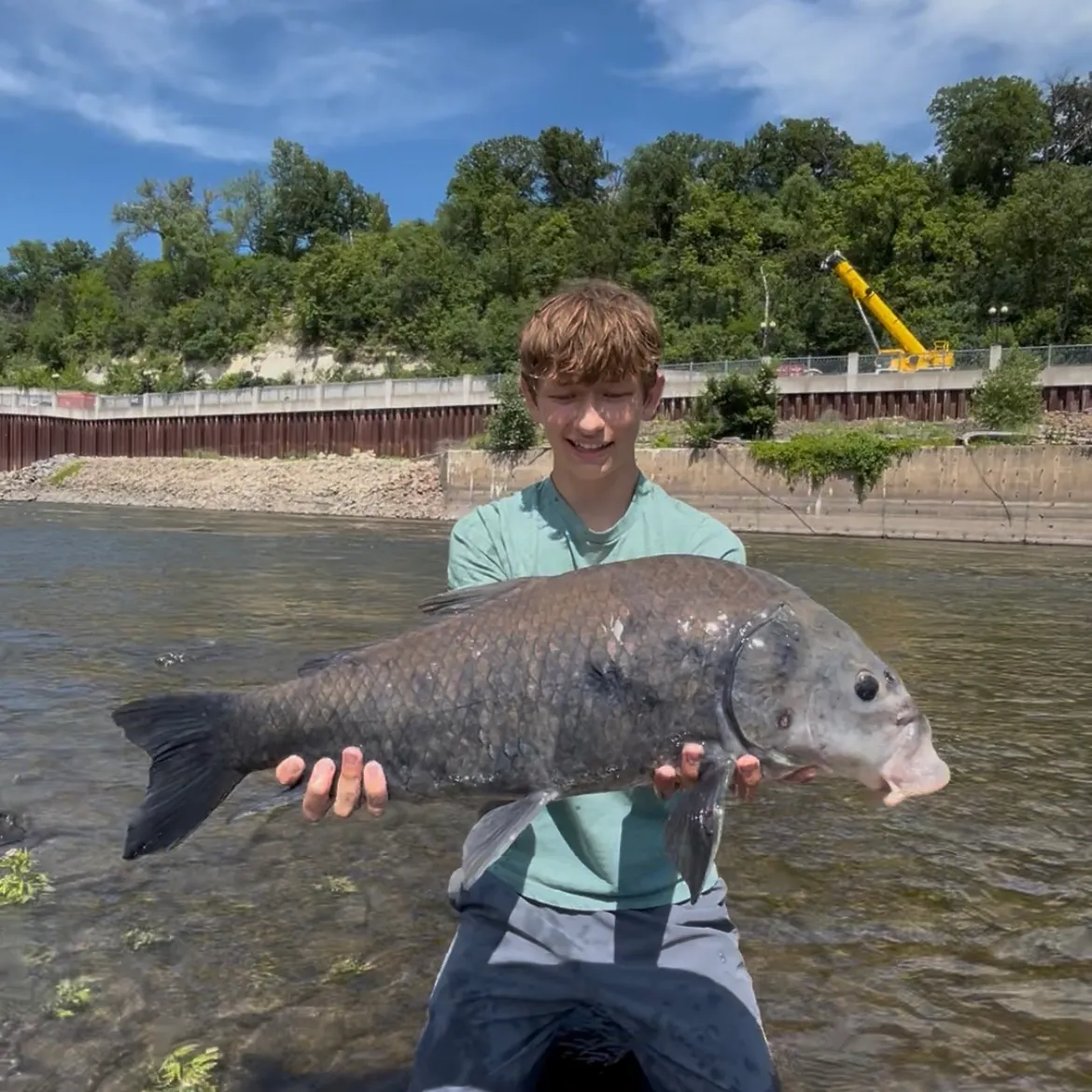 The most recent Black buffalo catches on Fishbrain