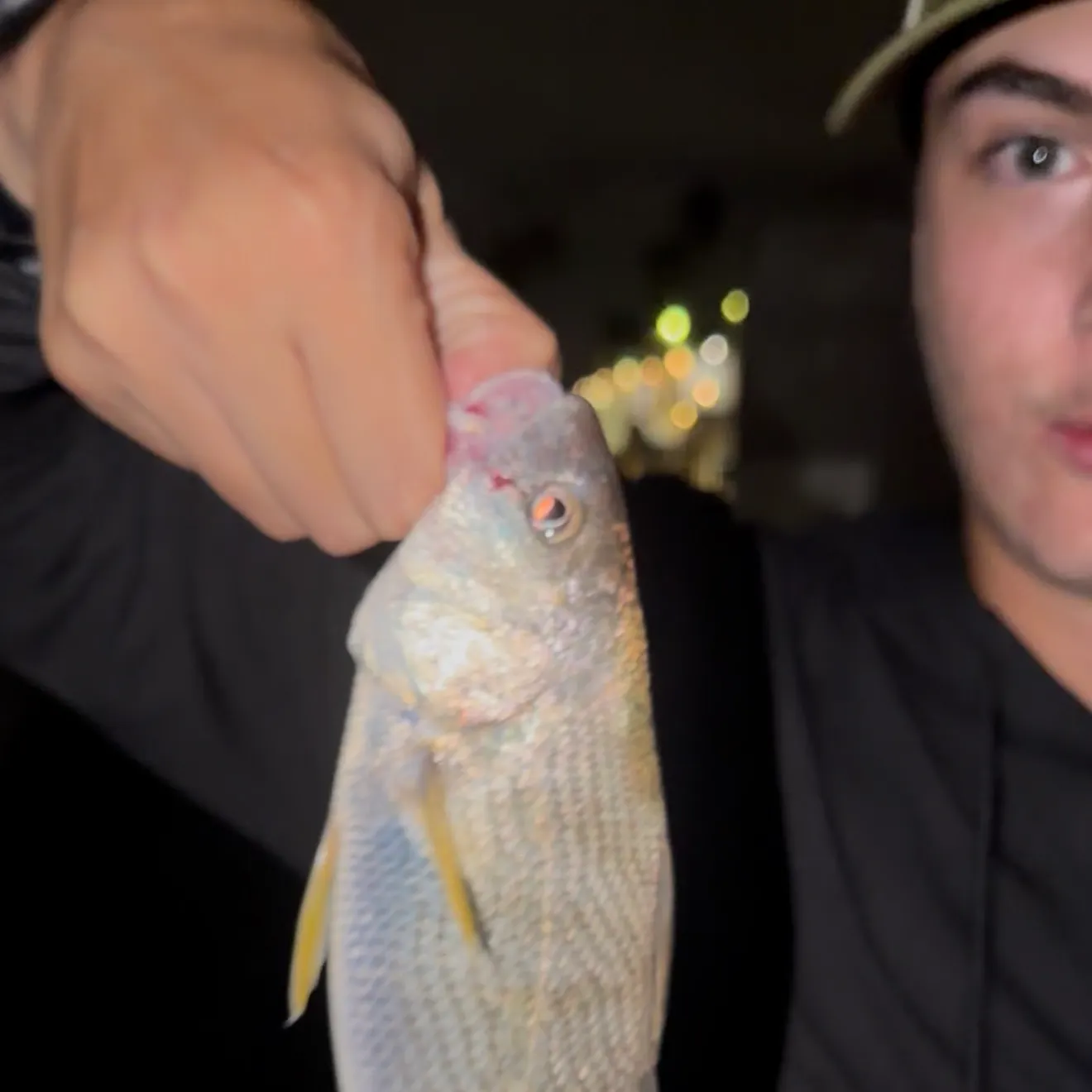 Yellowfin croaker caught on Fishbrain