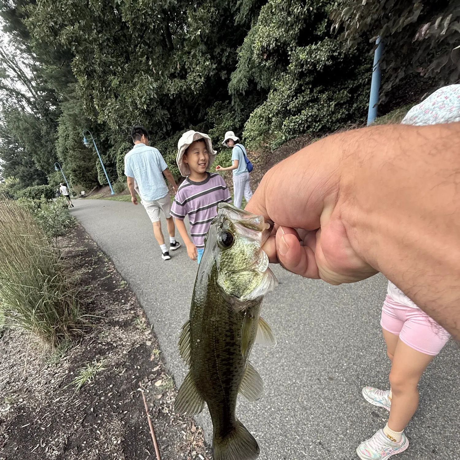 catch