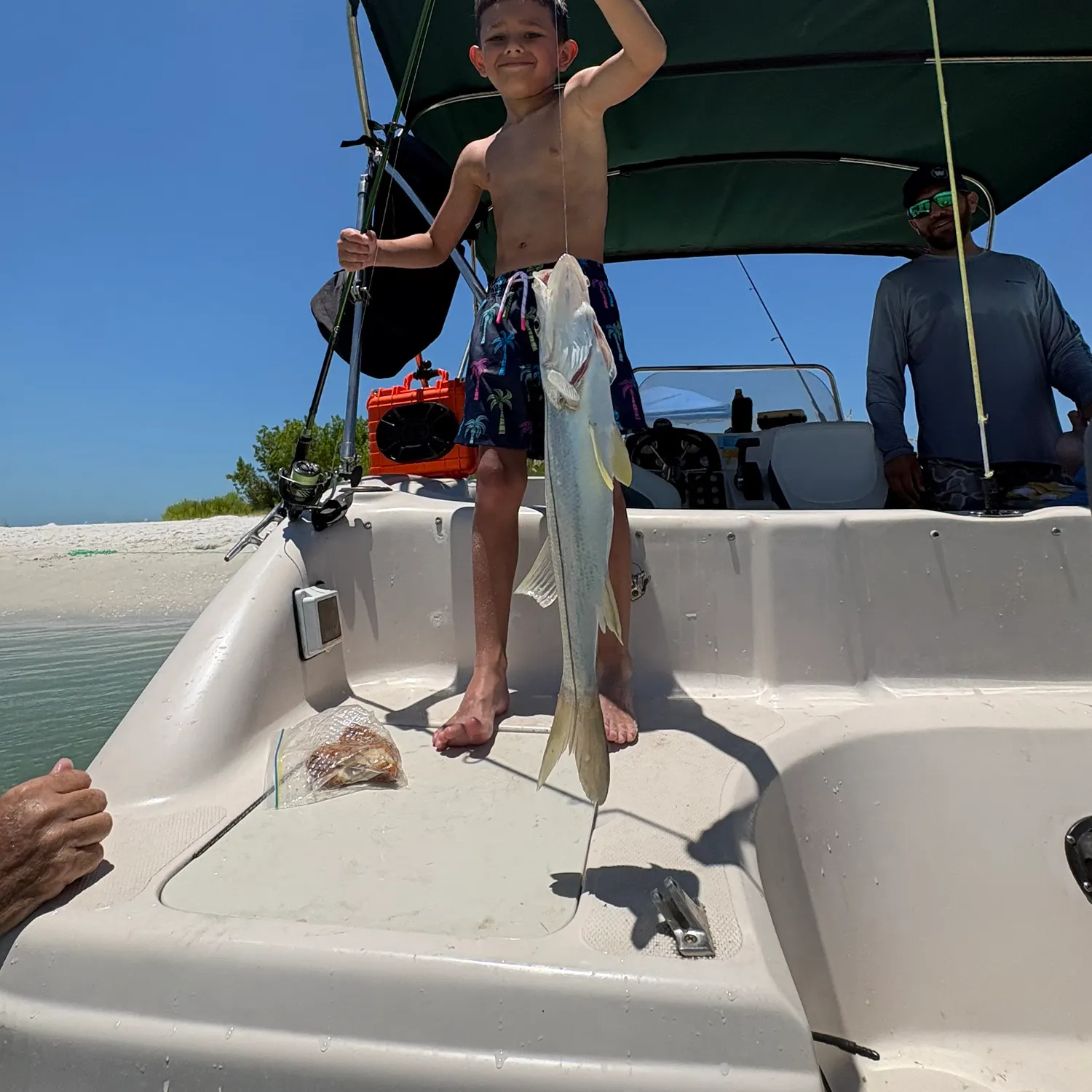 Fish caught on Fishbrain