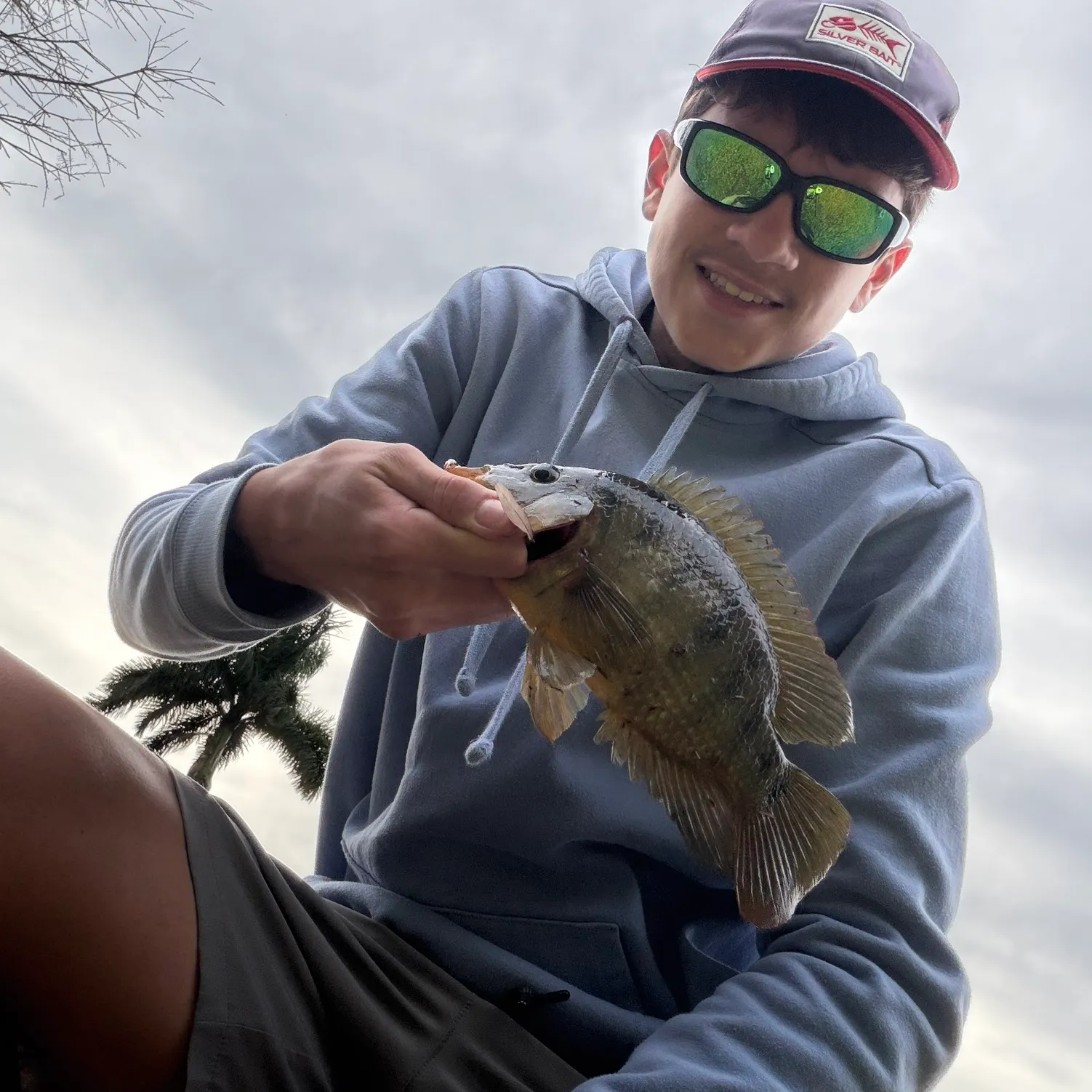 The most recent Mayan cichlid catches on Fishbrain