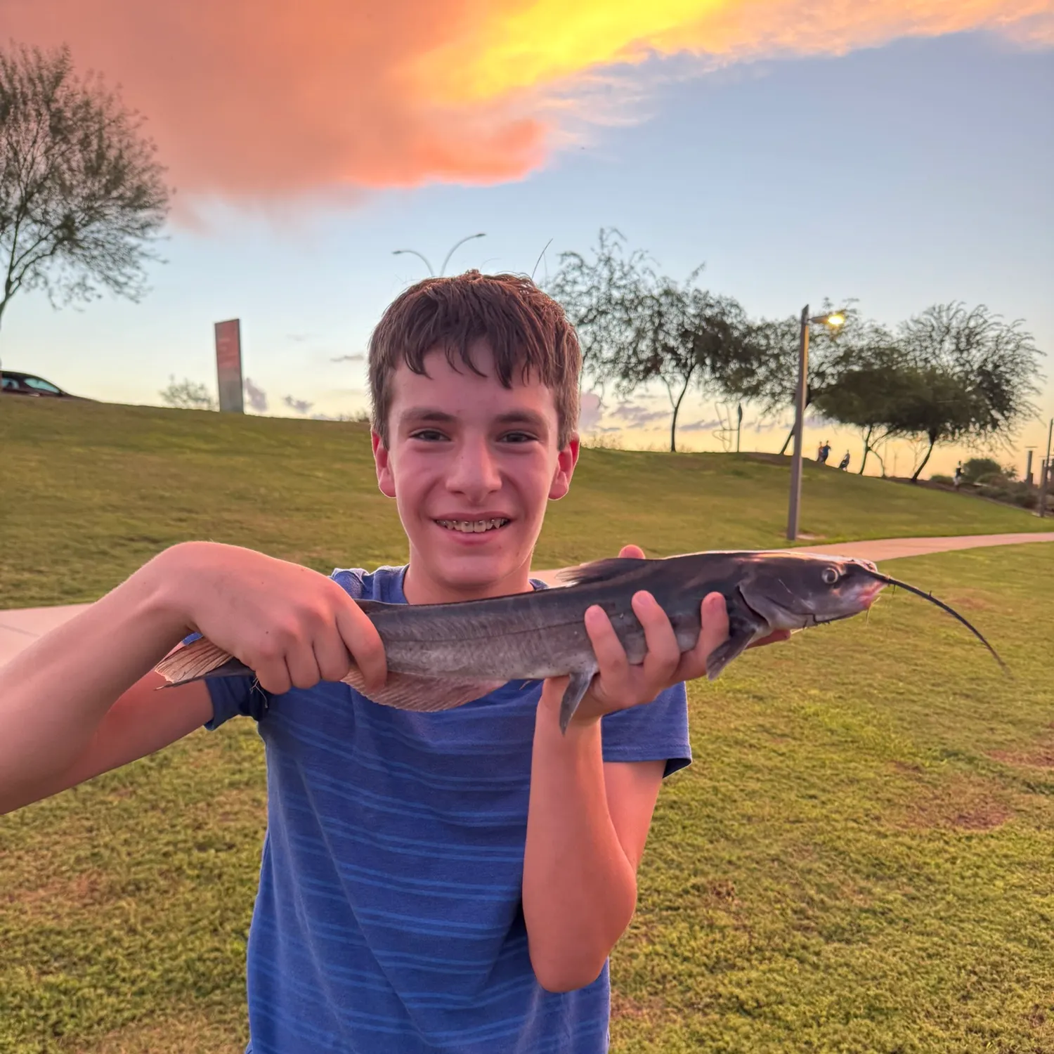 Channel catfish caught on Fishbrain