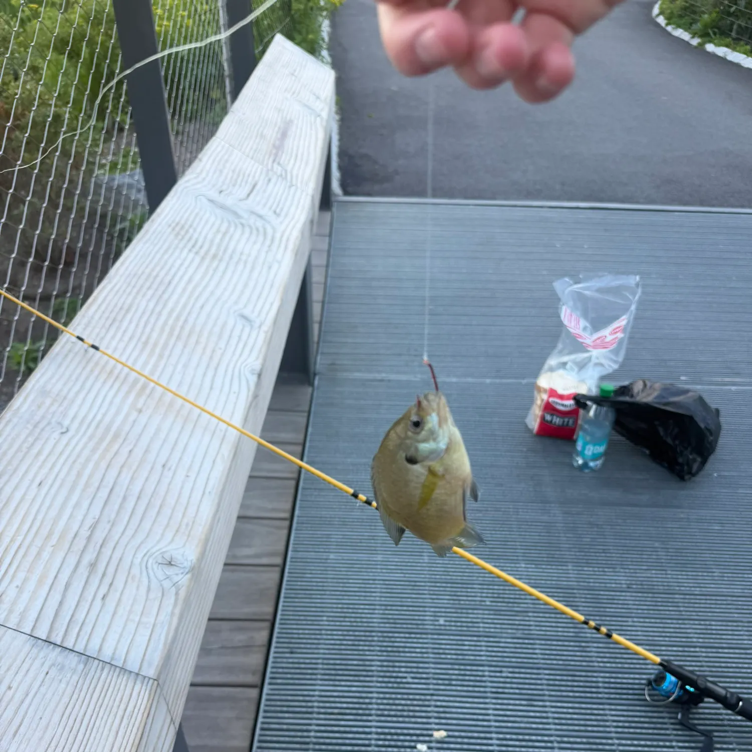 catch