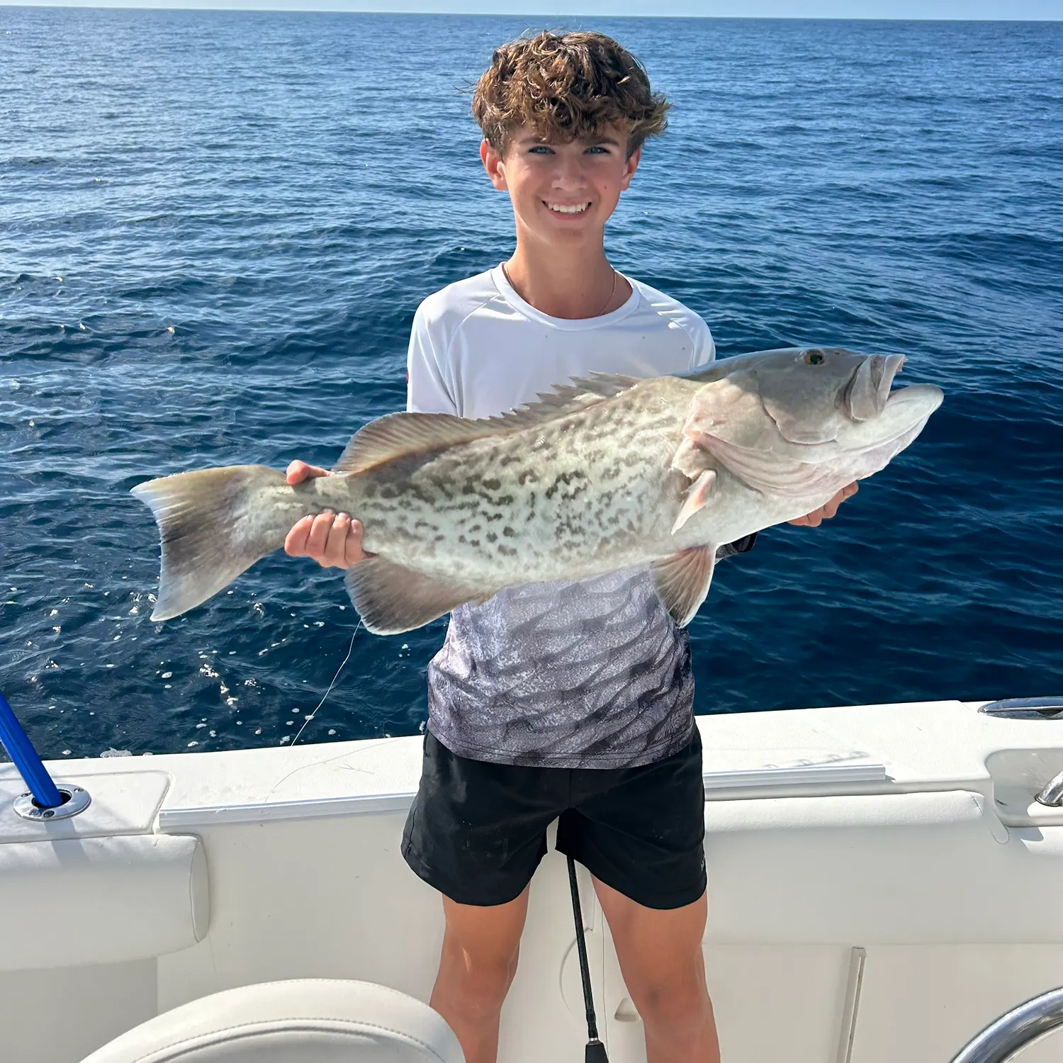 The most recent Gag grouper catches on Fishbrain