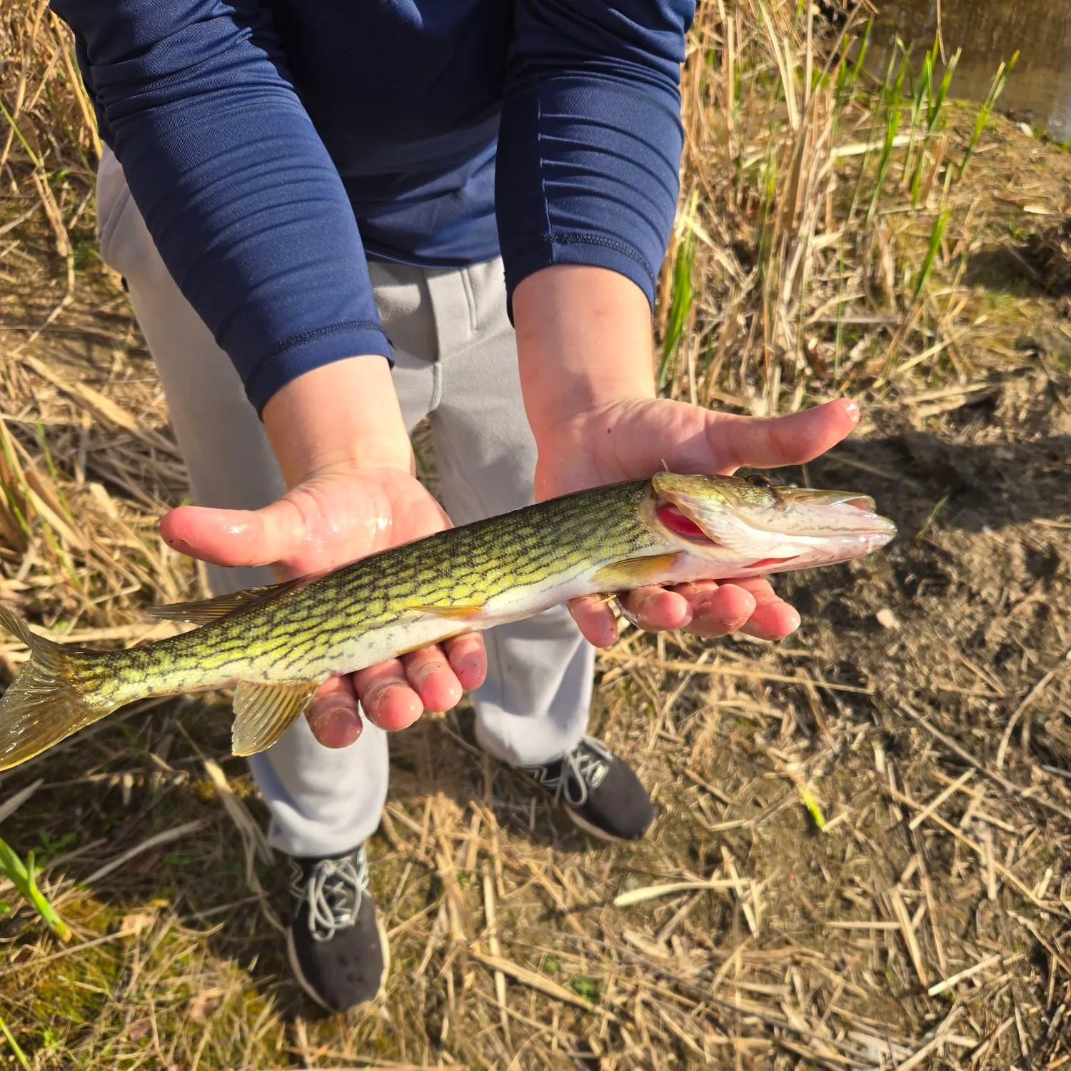 catch