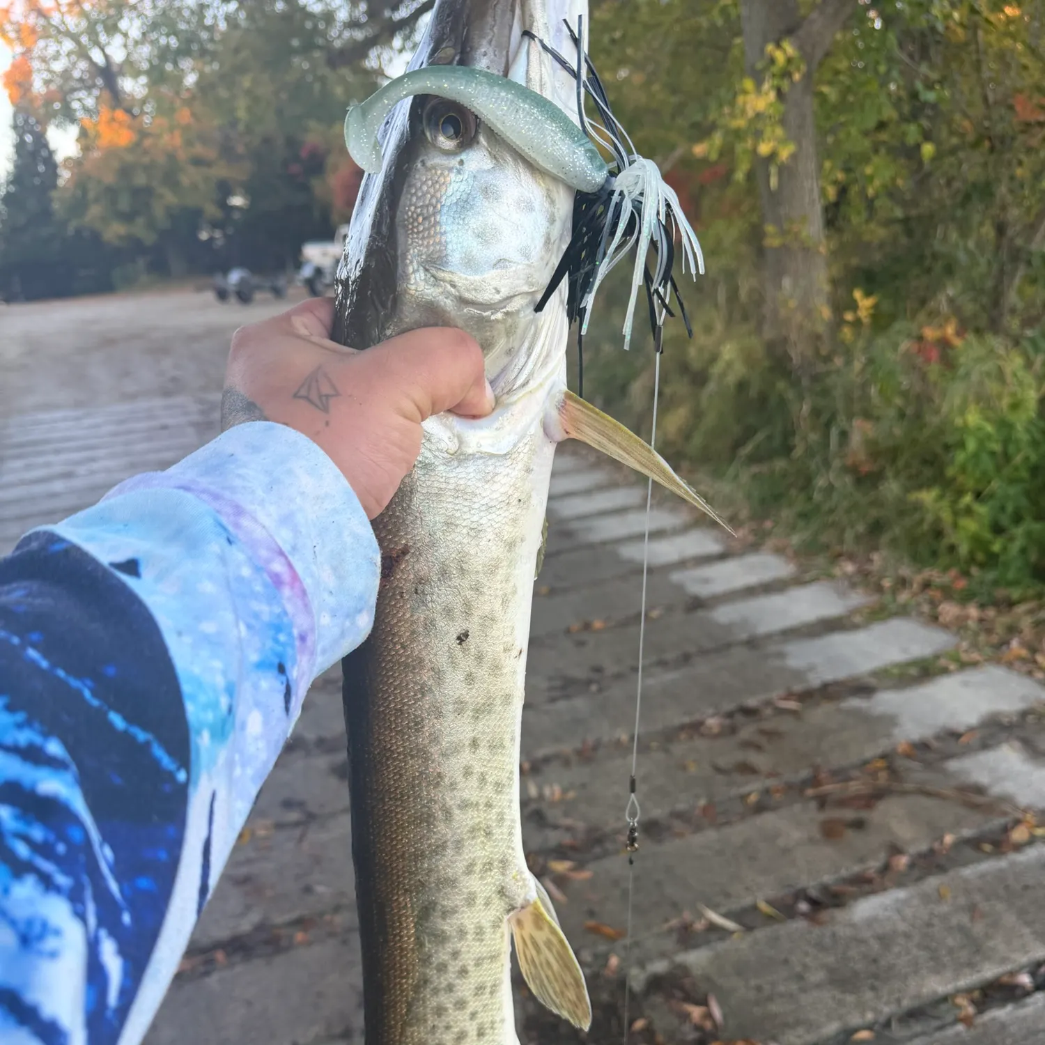 Muskie caught on Fishbrain
