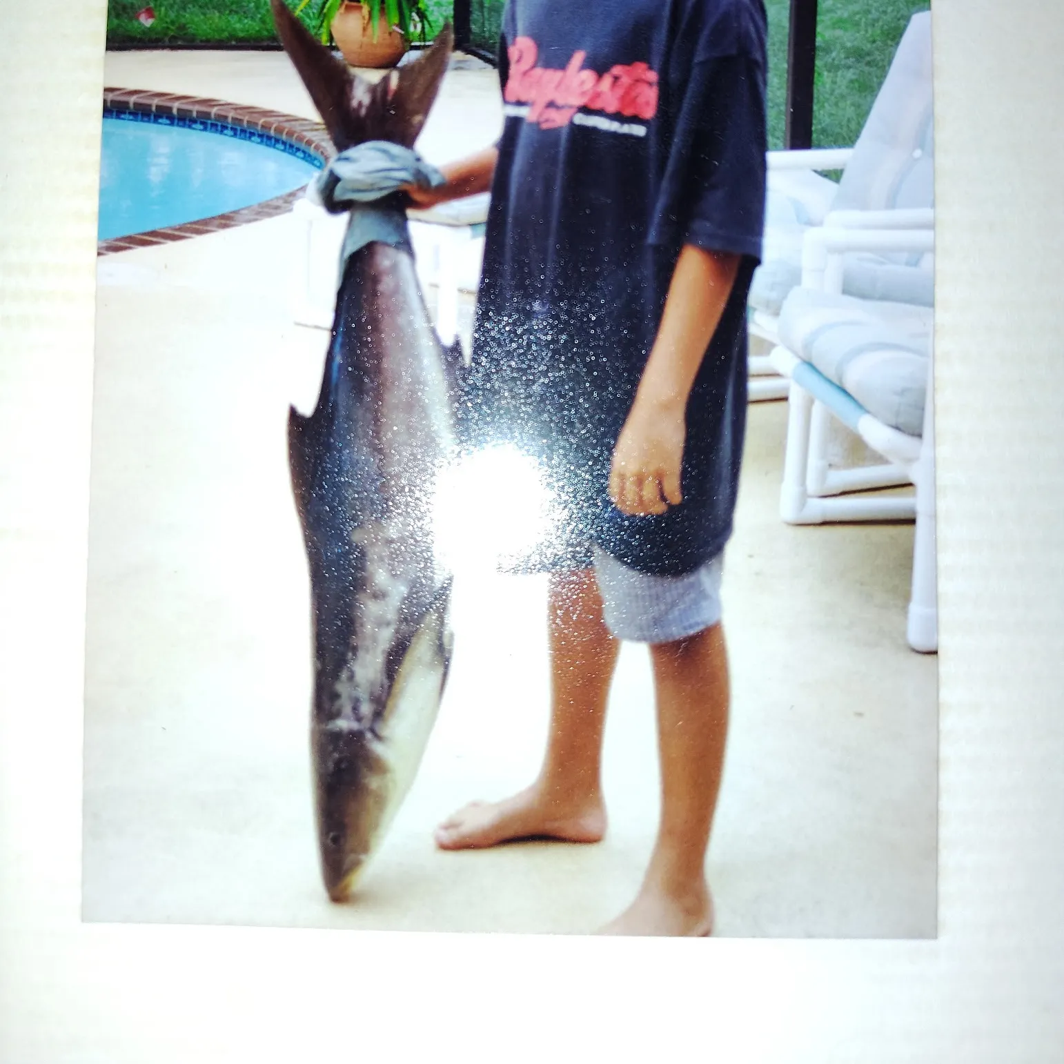 The most recent Wahoo catches on Fishbrain