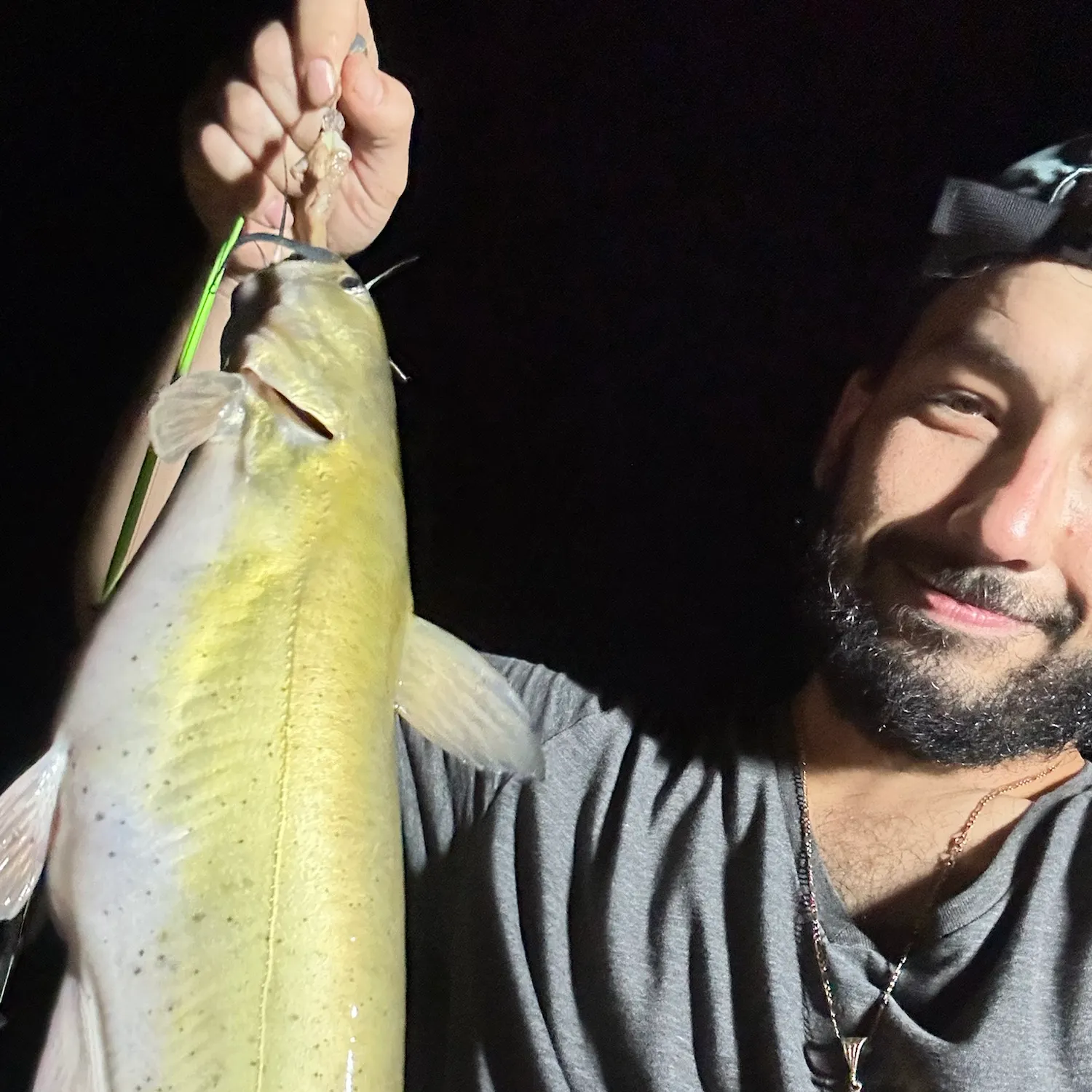Channel catfish caught on Fishbrain
