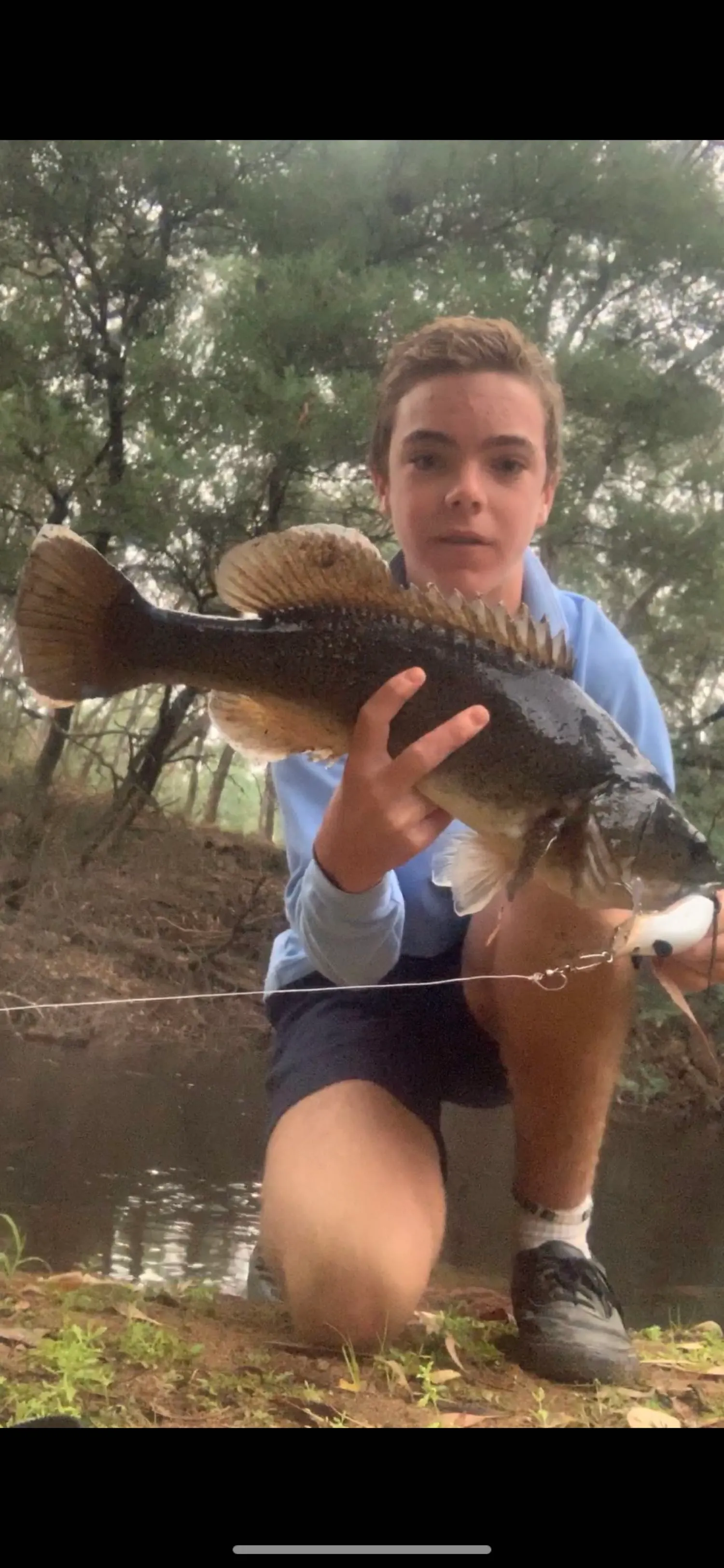 Post image from zhoward9400