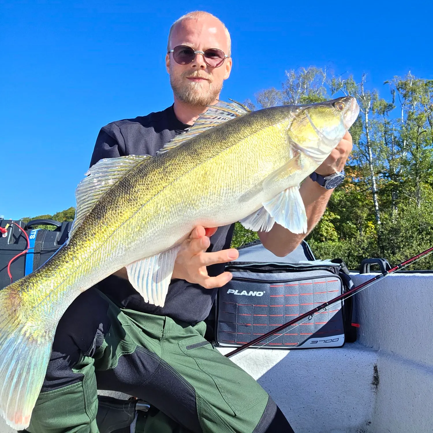 Zander caught on Fishbrain