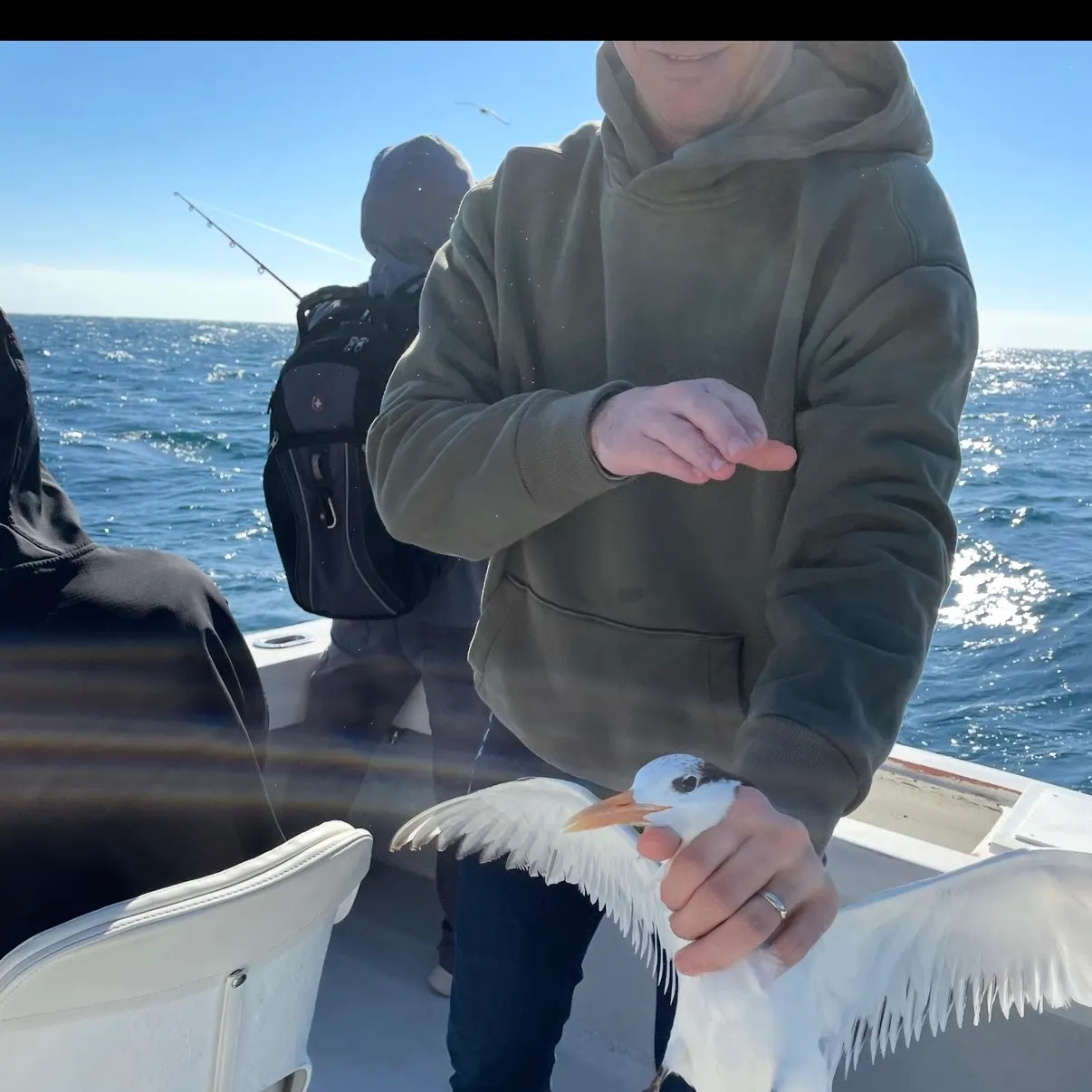 Fish caught on Fishbrain