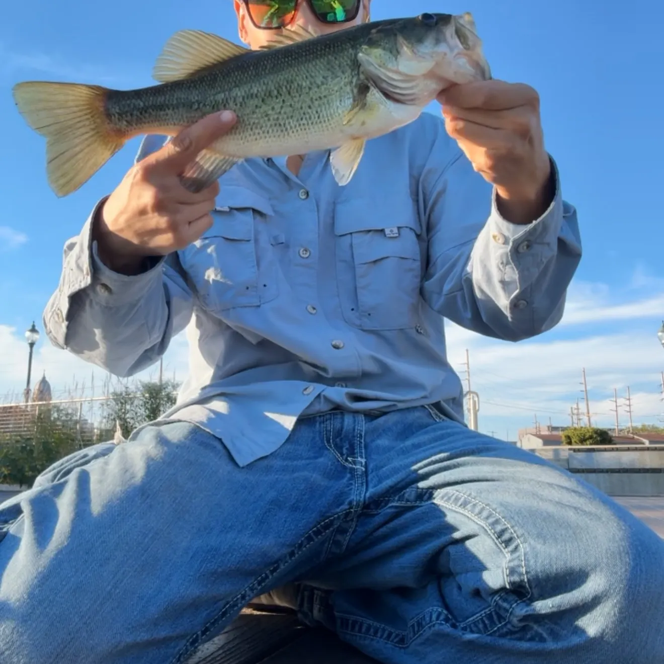 Largemouth bass caught on Fishbrain