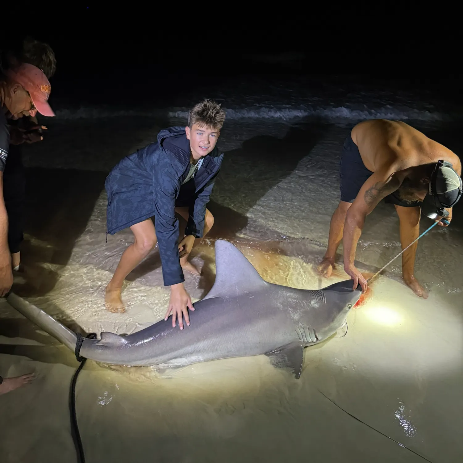 The most recent Bull shark catches on Fishbrain