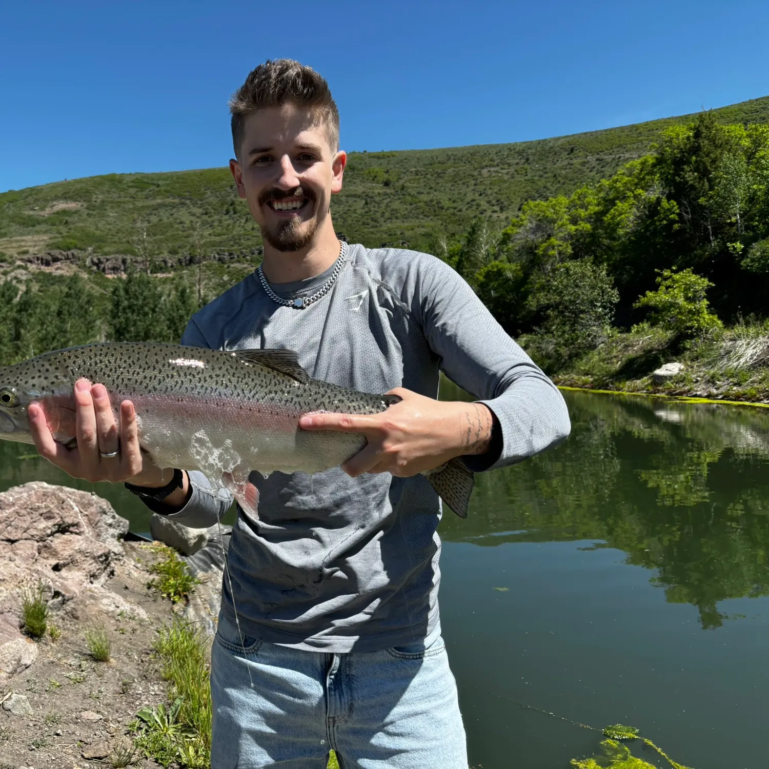 Rainbow trout caught on Fishbrain