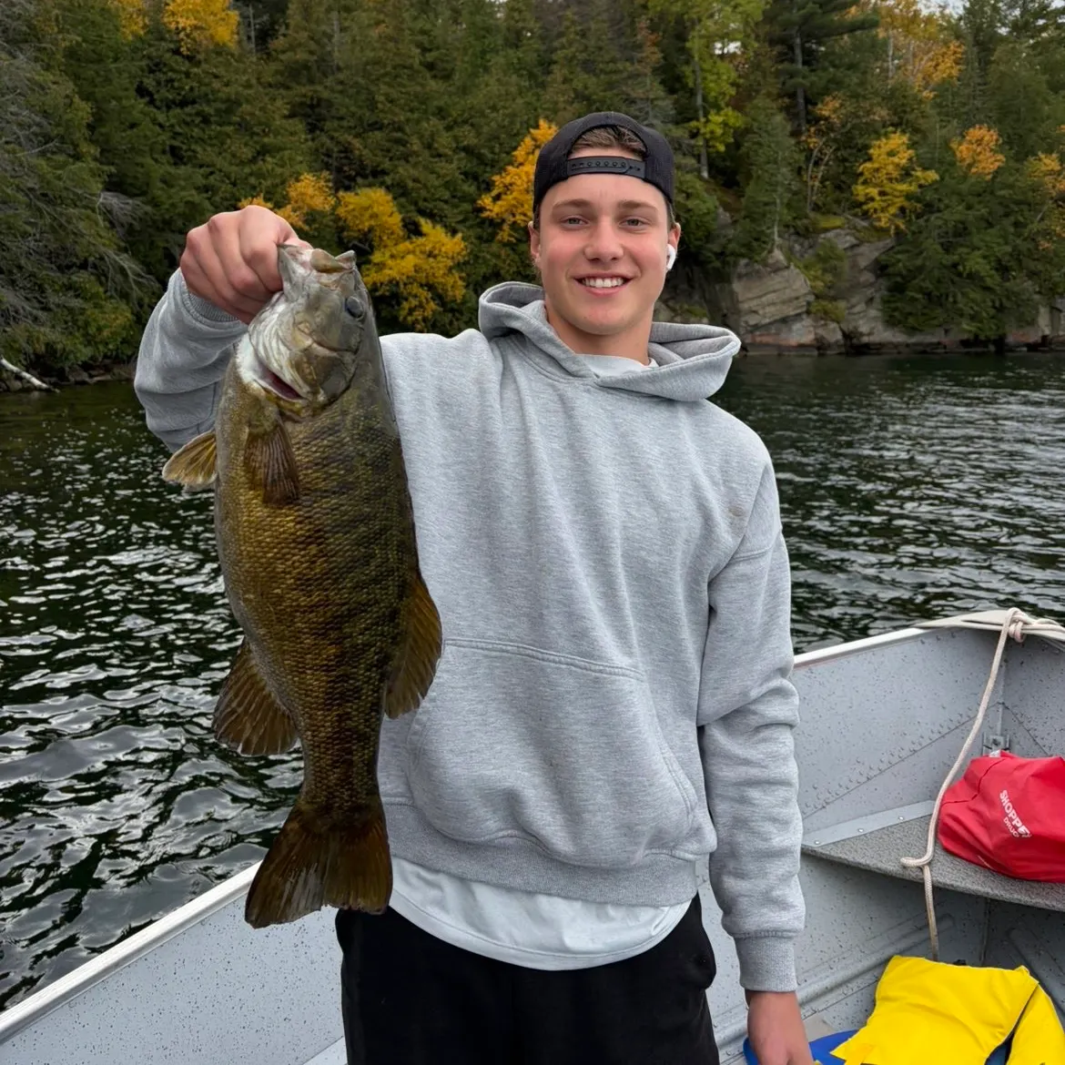 Smallmouth bass caught on Fishbrain
