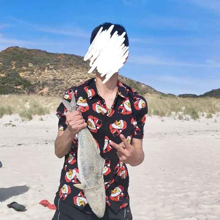 The most recent Western Australian salmon catches on Fishbrain