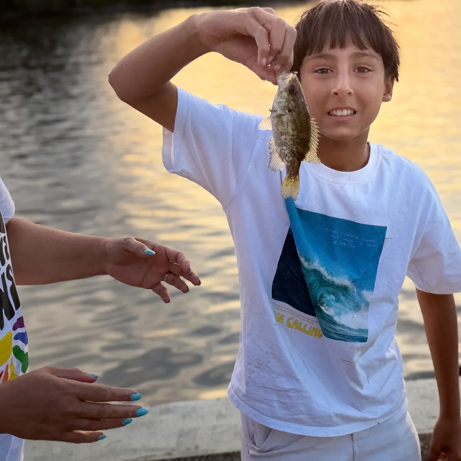 Fish caught on Fishbrain