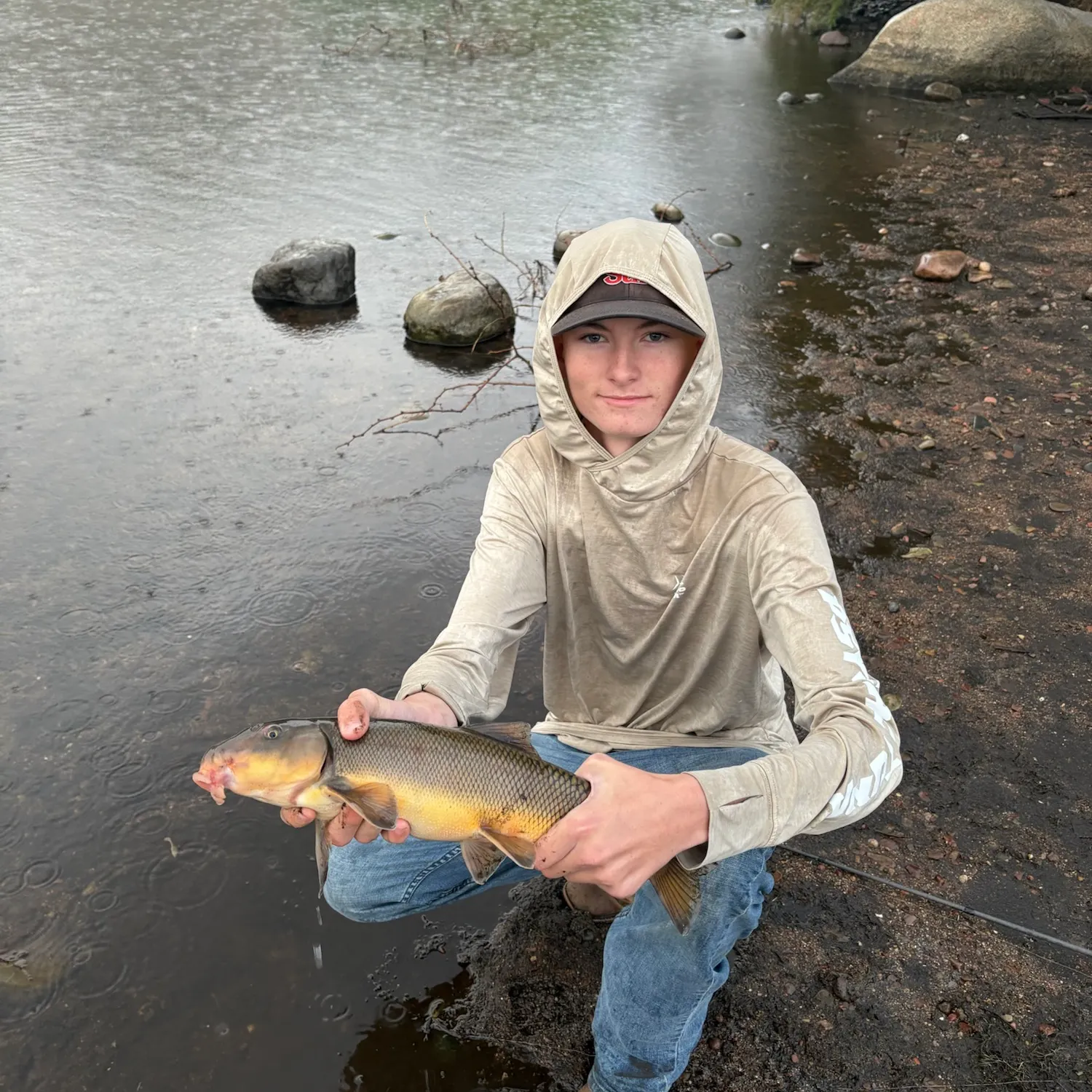 The most recent Sonora sucker catches on Fishbrain
