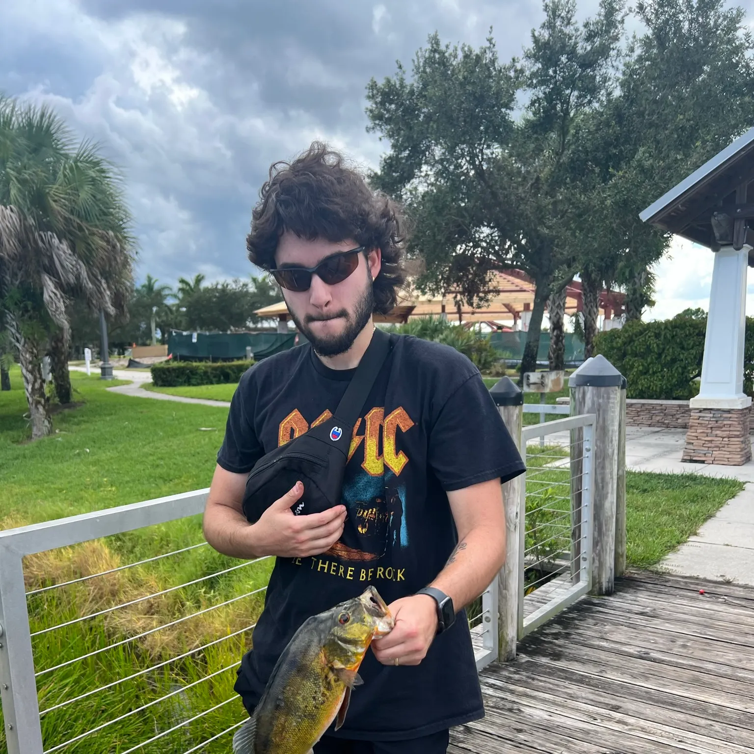 The most recent Butterfly peacock bass catches on Fishbrain