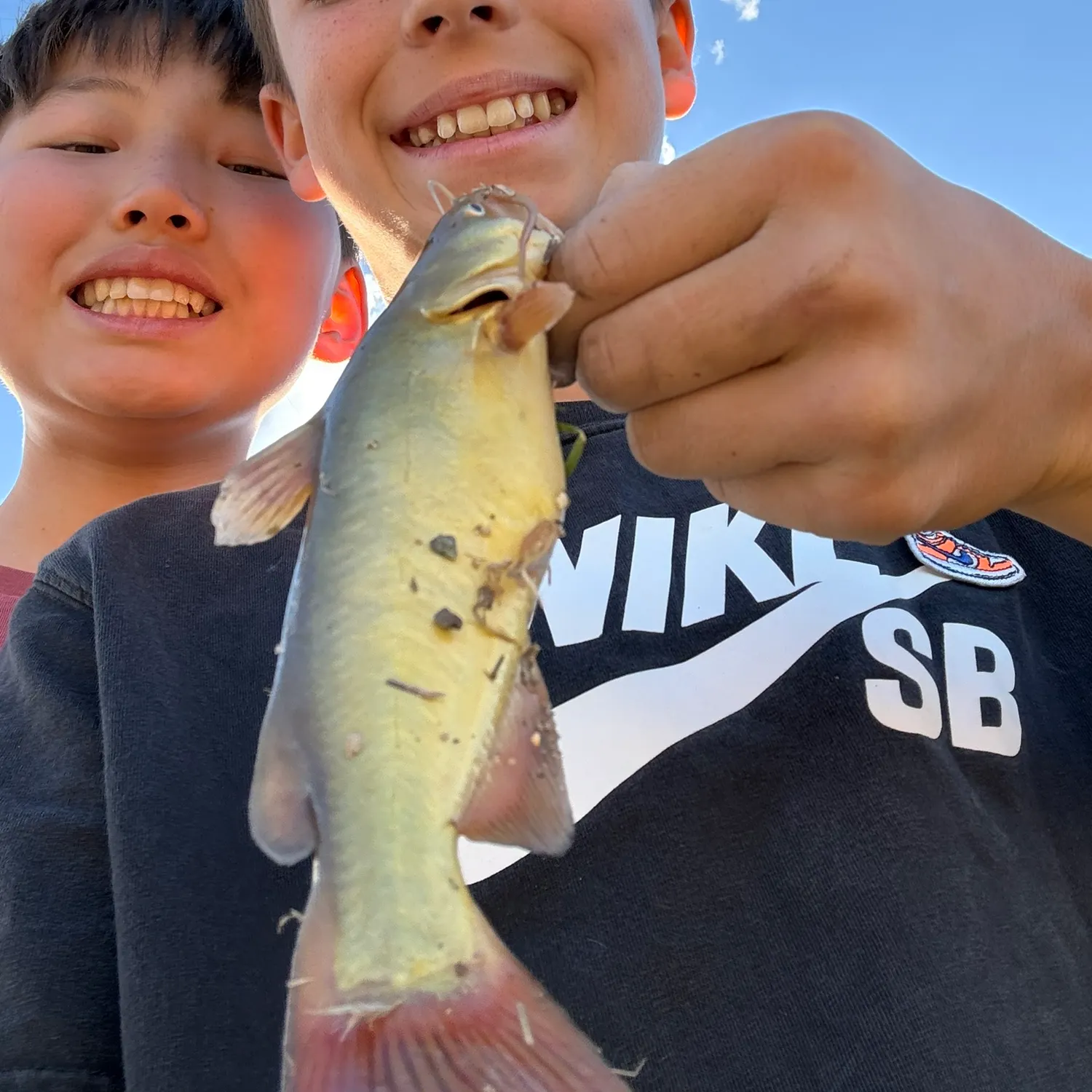 Yellow bullhead caught on Fishbrain