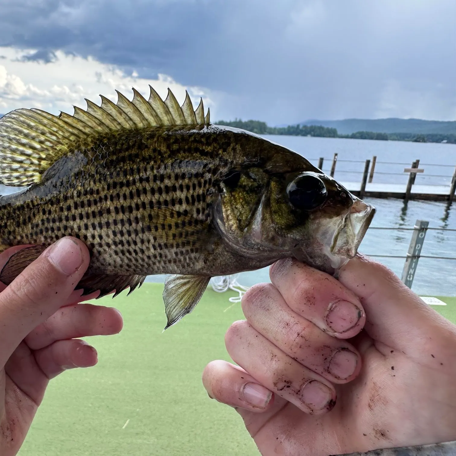 catch