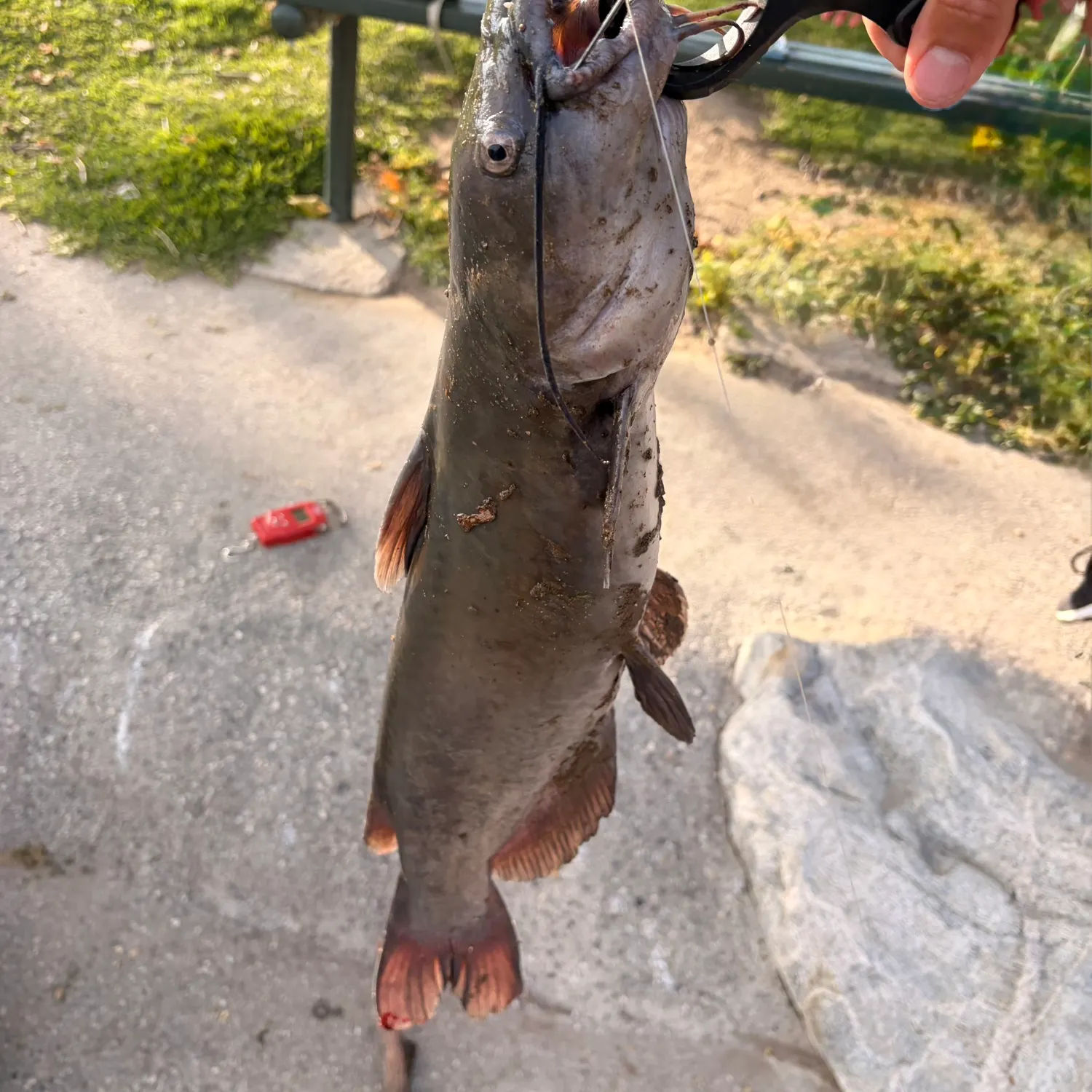 catch