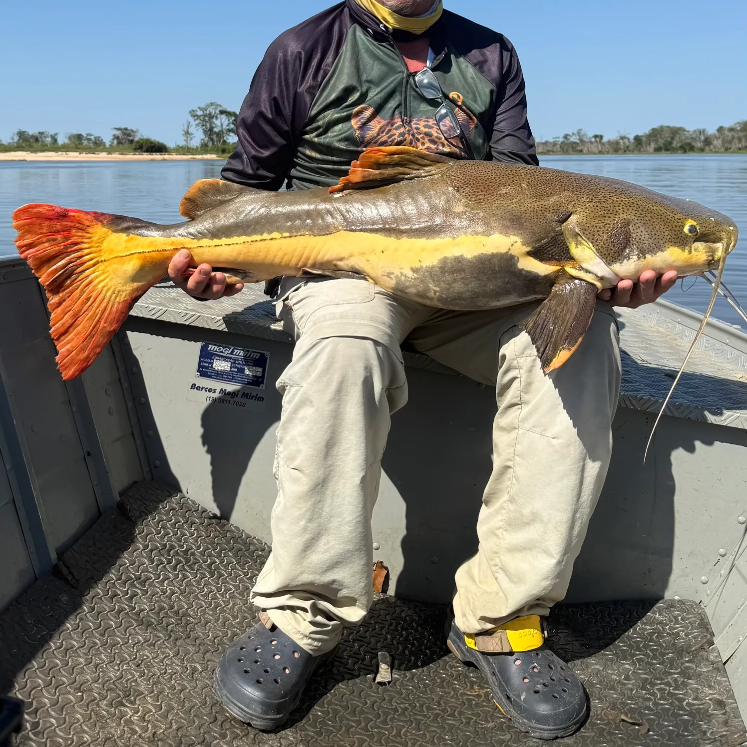 Redtail catfish caught on Fishbrain