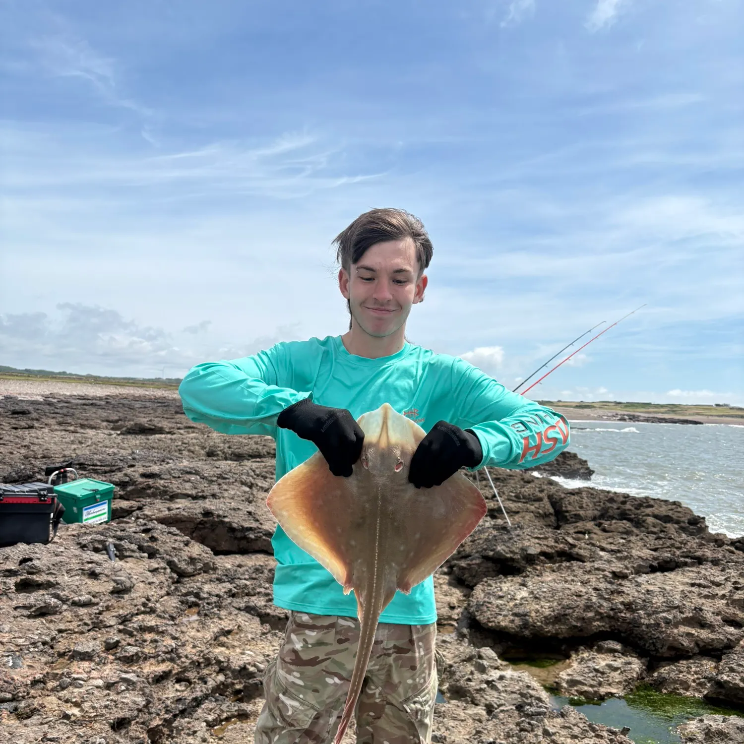 The most recent Small-eyed ray catches on Fishbrain