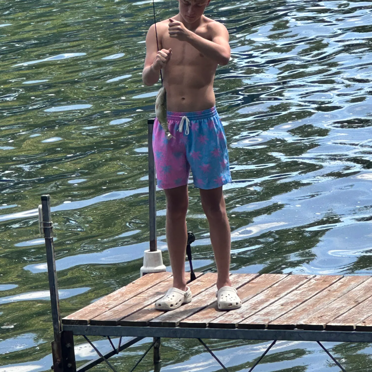 Fish caught on Fishbrain