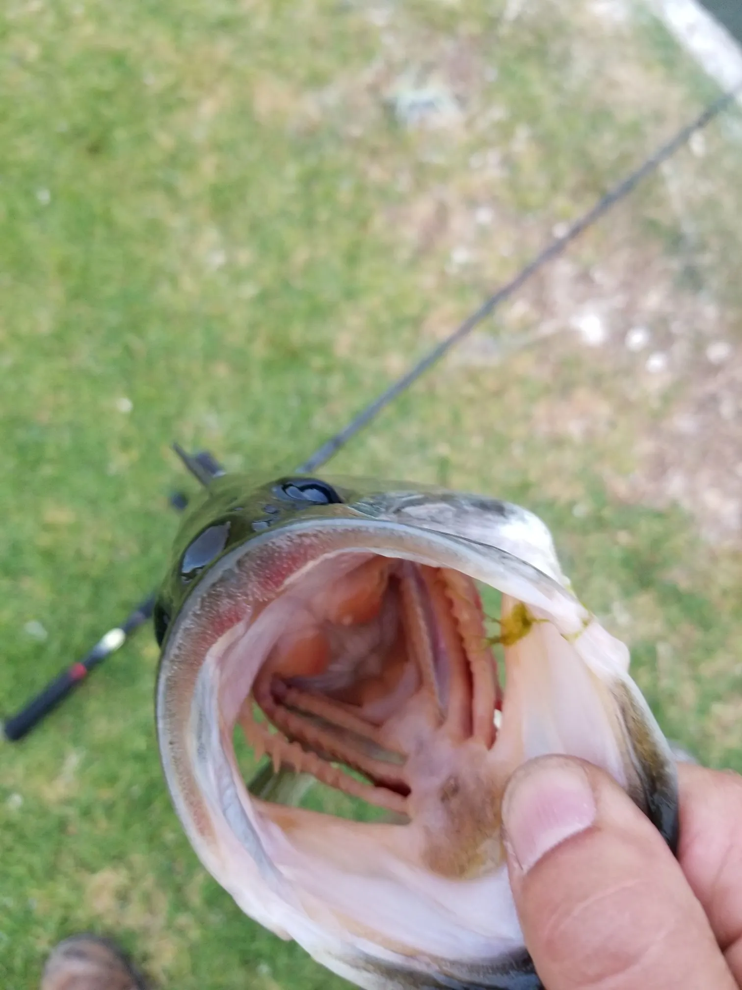 Post image from 96thcast