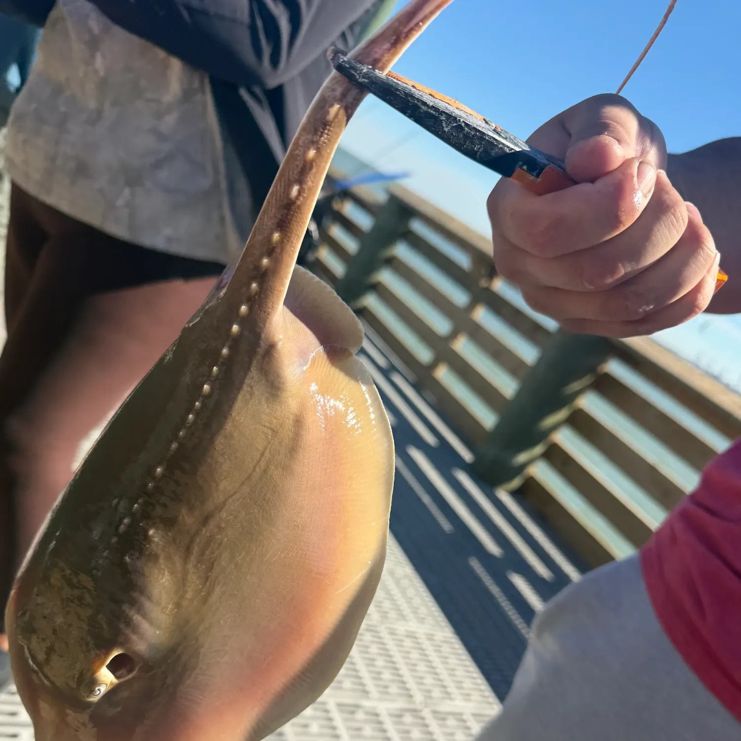 catch