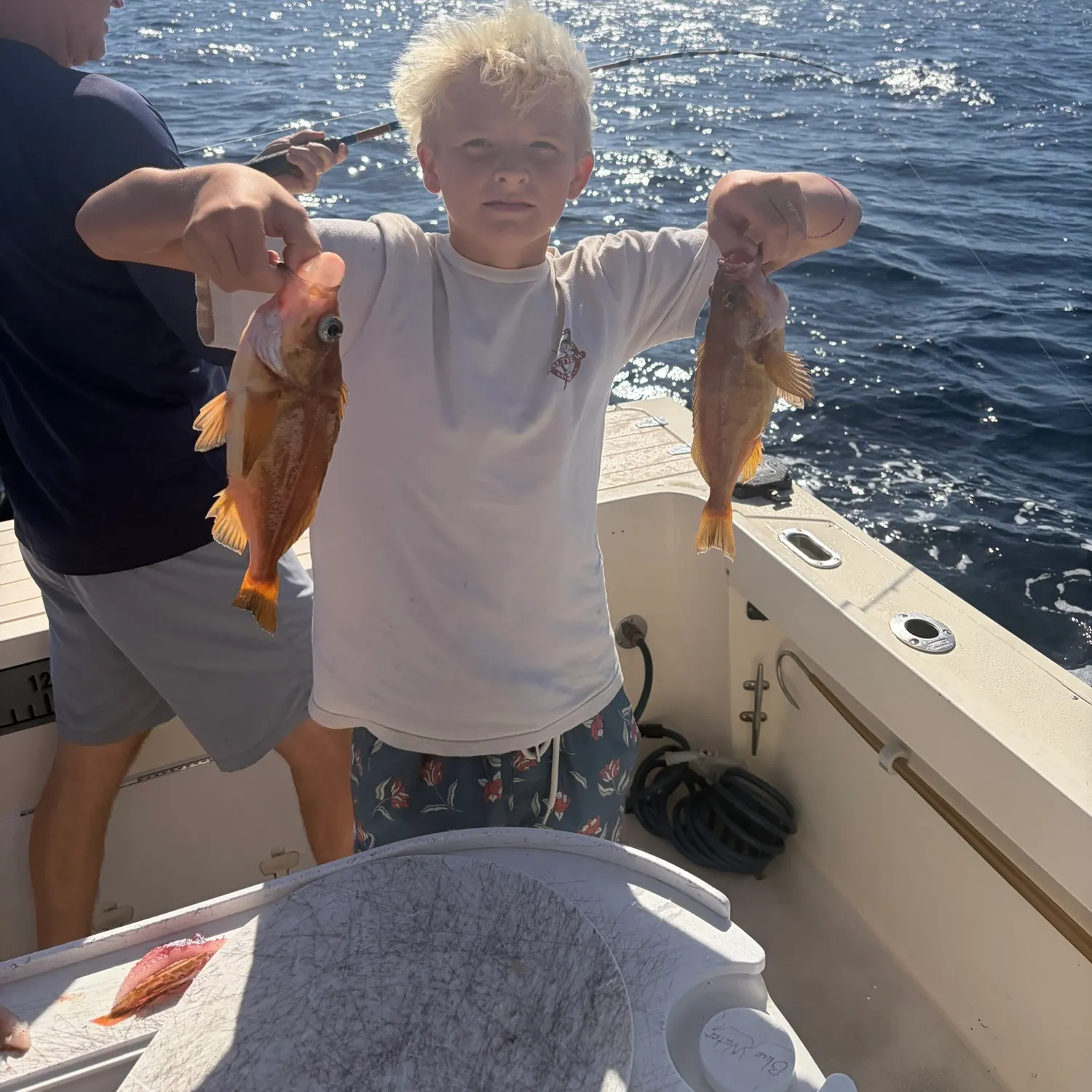 Vermilion rockfish caught on Fishbrain