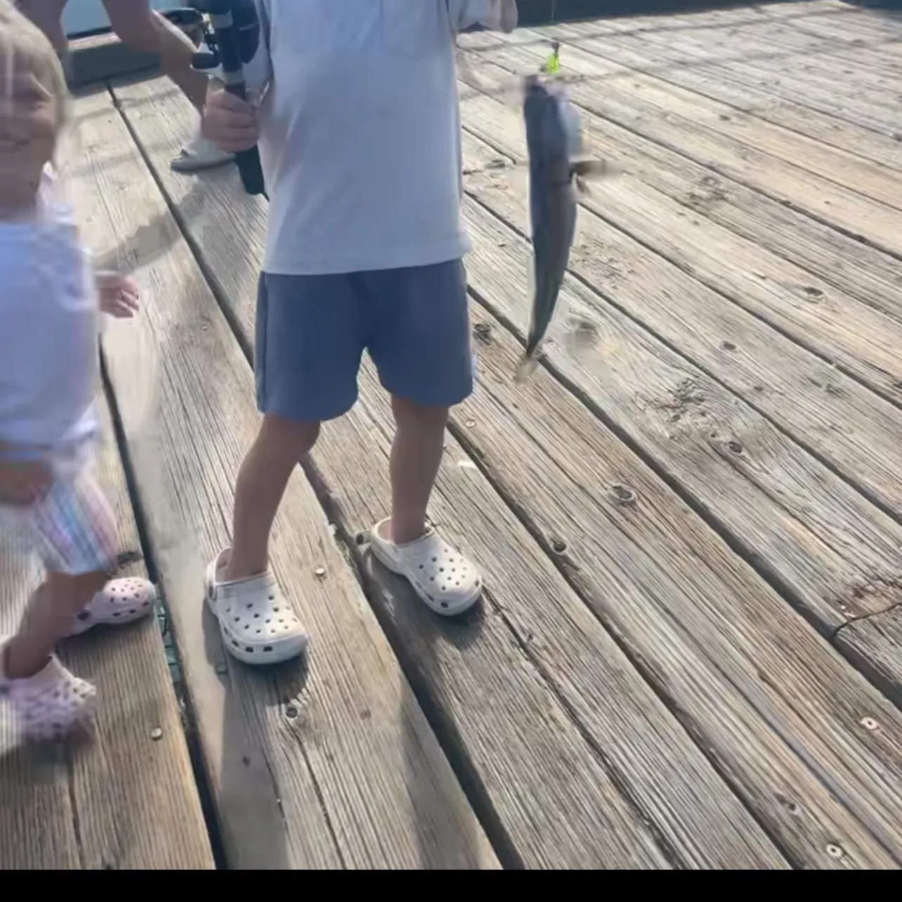 The most recent Spotted seabass catches on Fishbrain