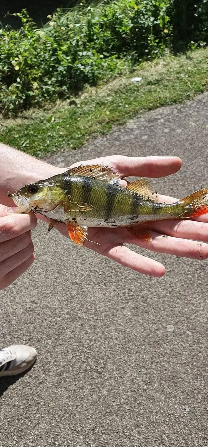 Post image from shanef2ky