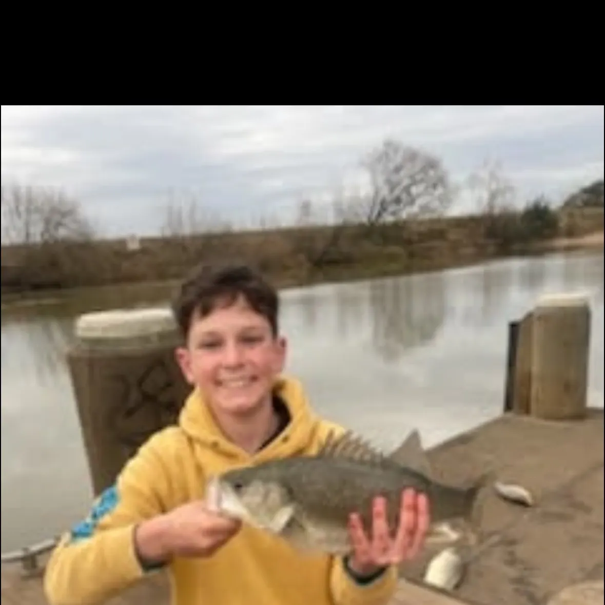 The most recent Australian bass catches on Fishbrain