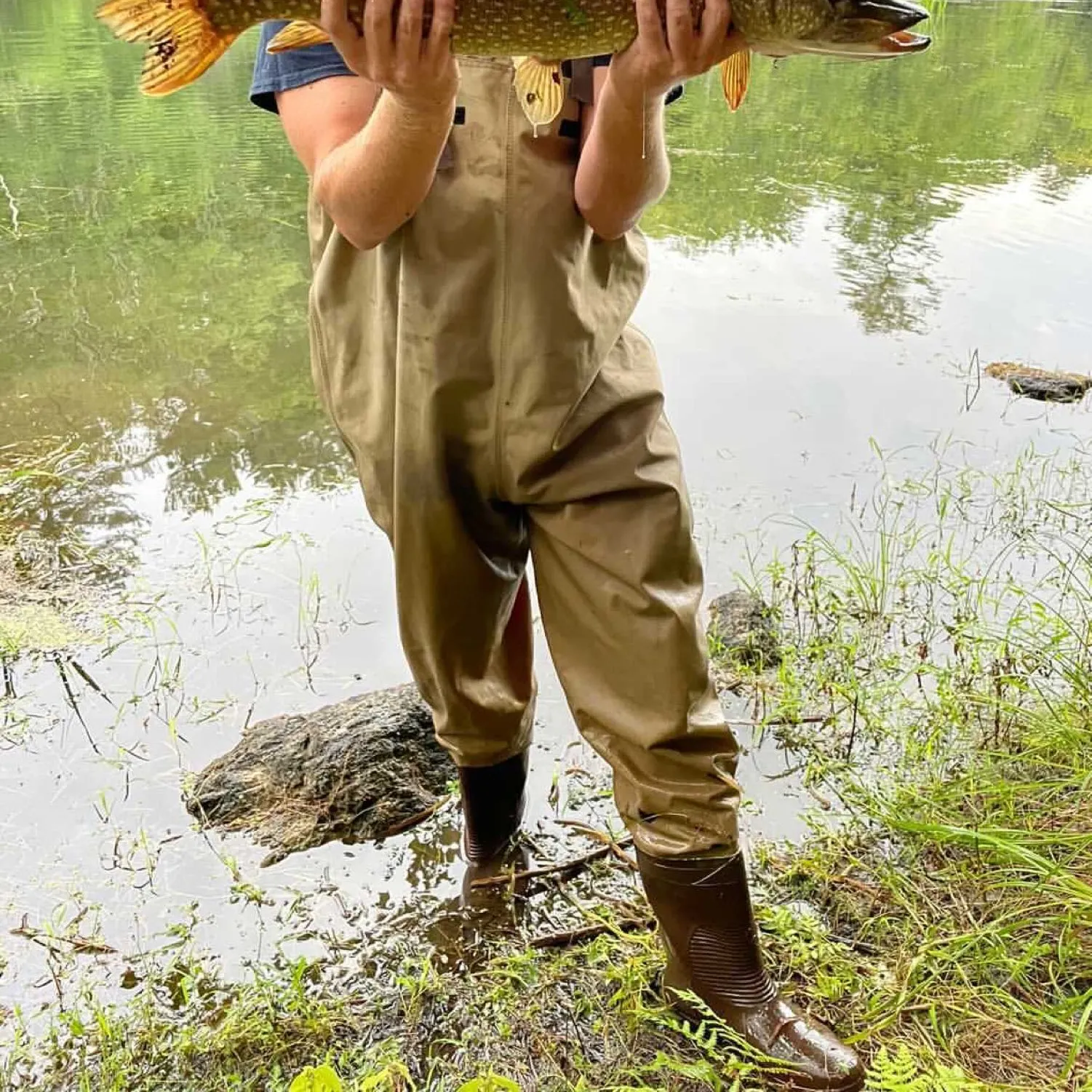 angler catch