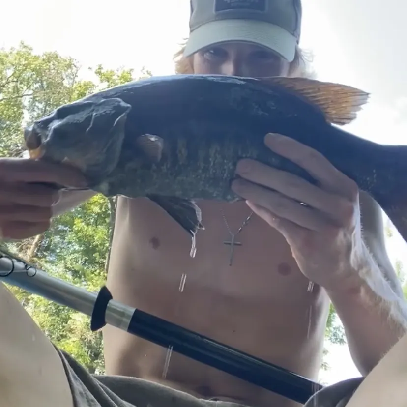 Smallmouth bass caught on Fishbrain