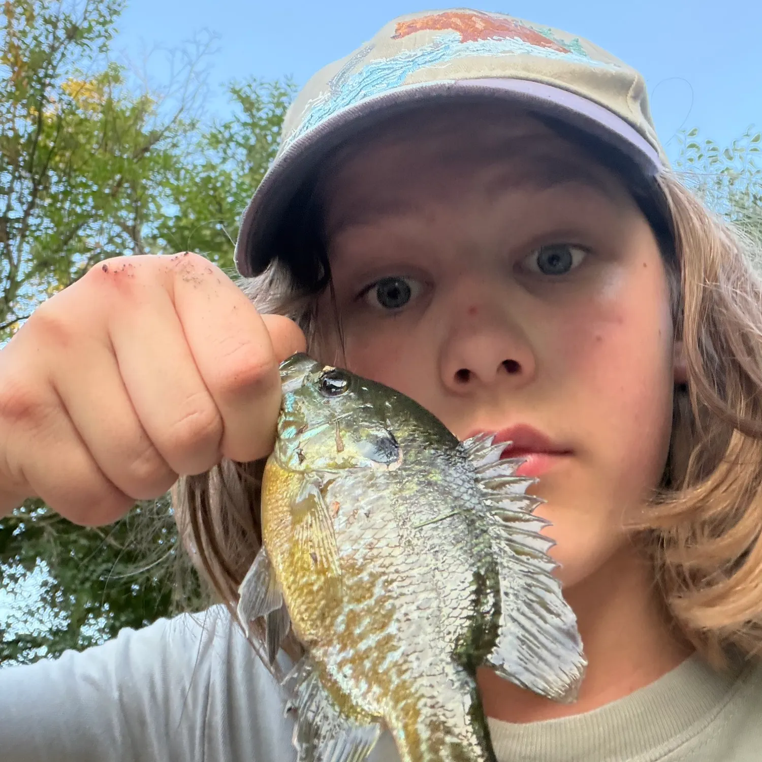 Greengill hybrid caught on Fishbrain
